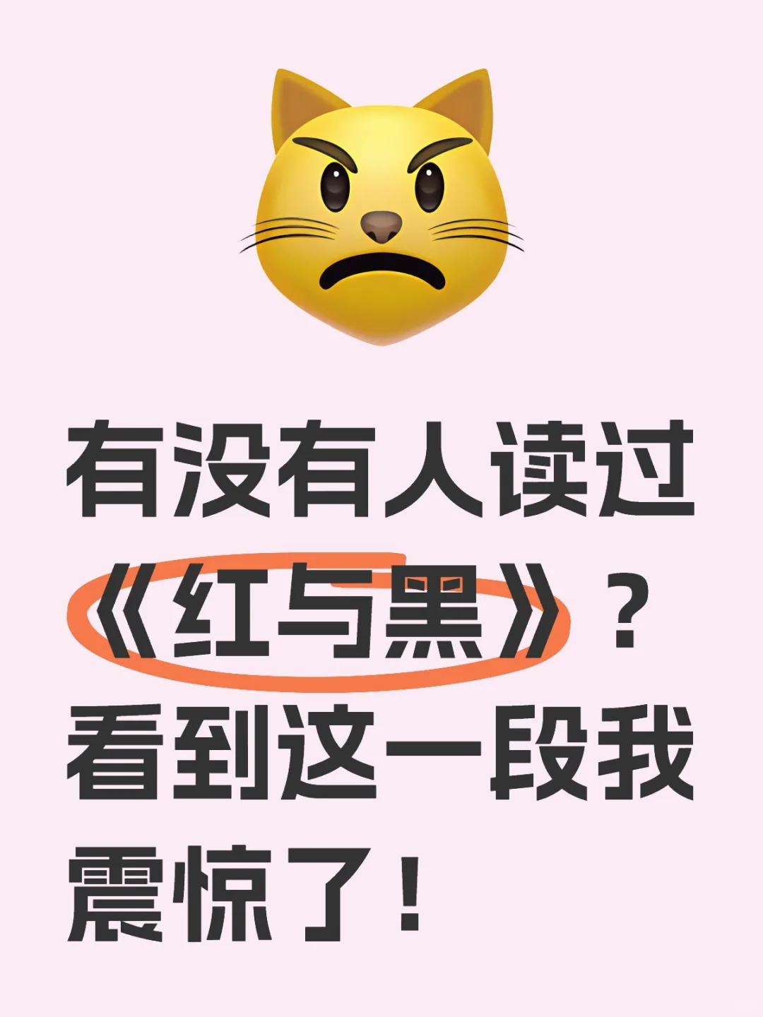 有没有人读过《红与黑》？看到这段我震惊了