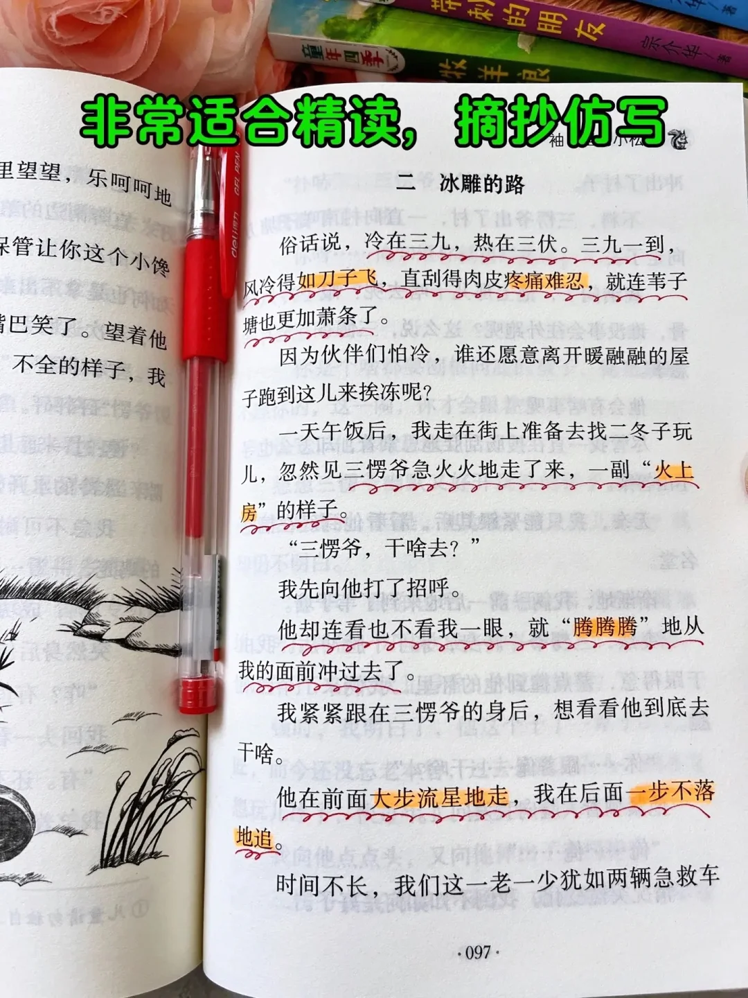 孩子阅读量少，就多读这本获奖文学作品❗