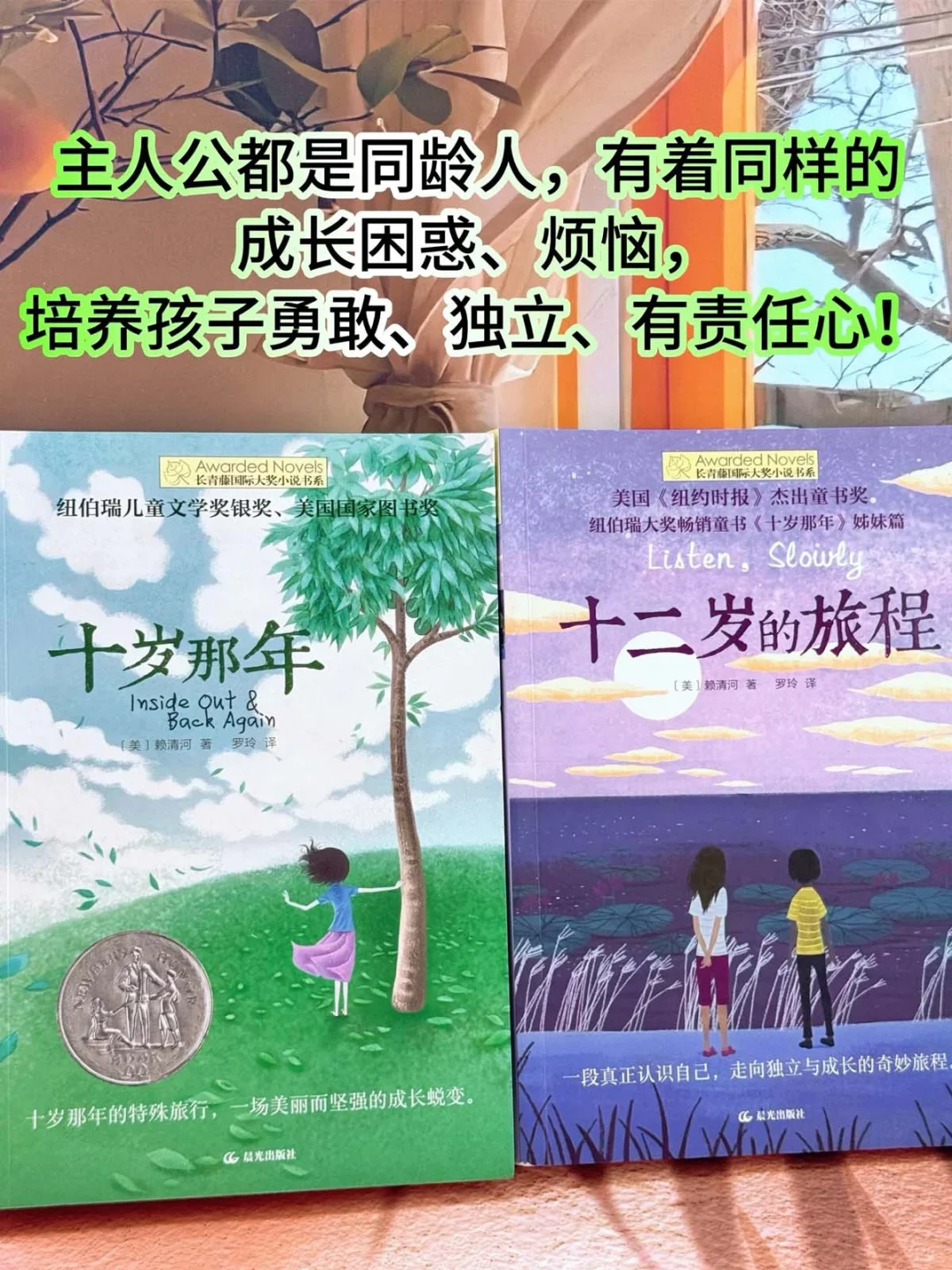 荣获众多奖项儿童文学 长青藤系列书籍🏆