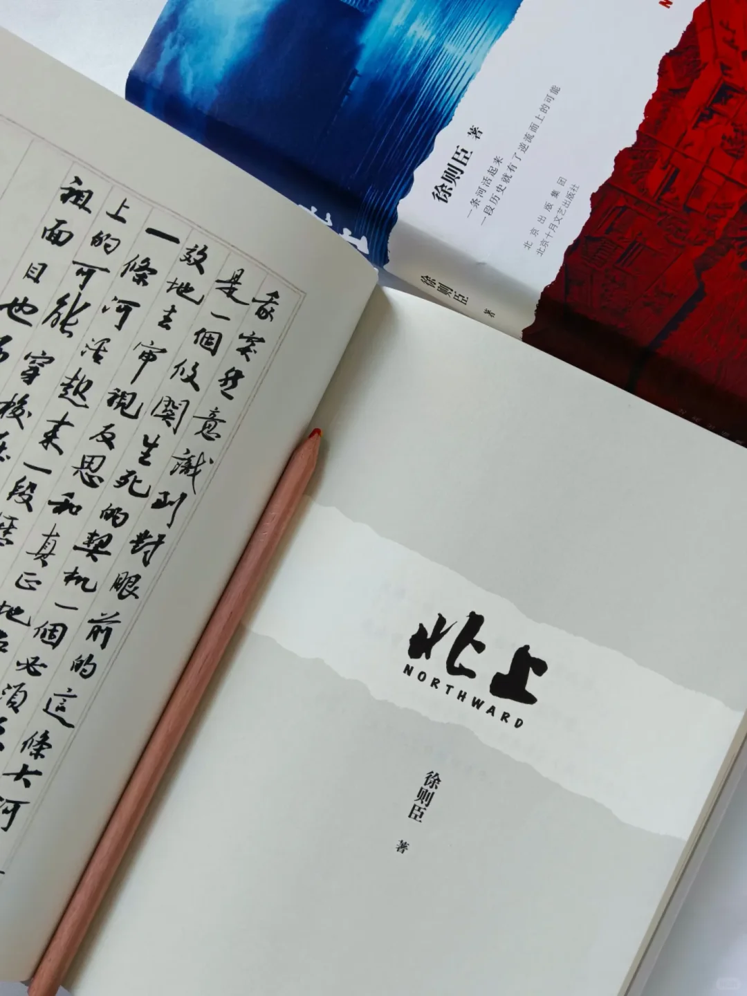 不愧是矛盾文学奖获奖作品，读得太过瘾了!