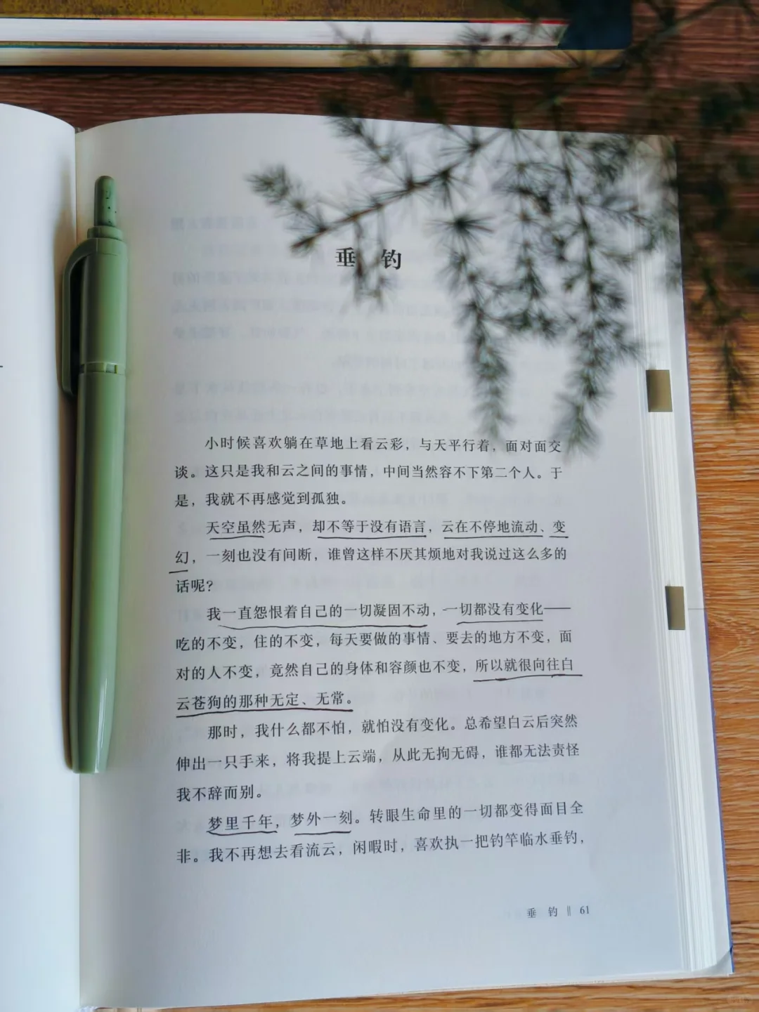 被鲁迅文学奖作家整破防，句句封神连夜摘抄