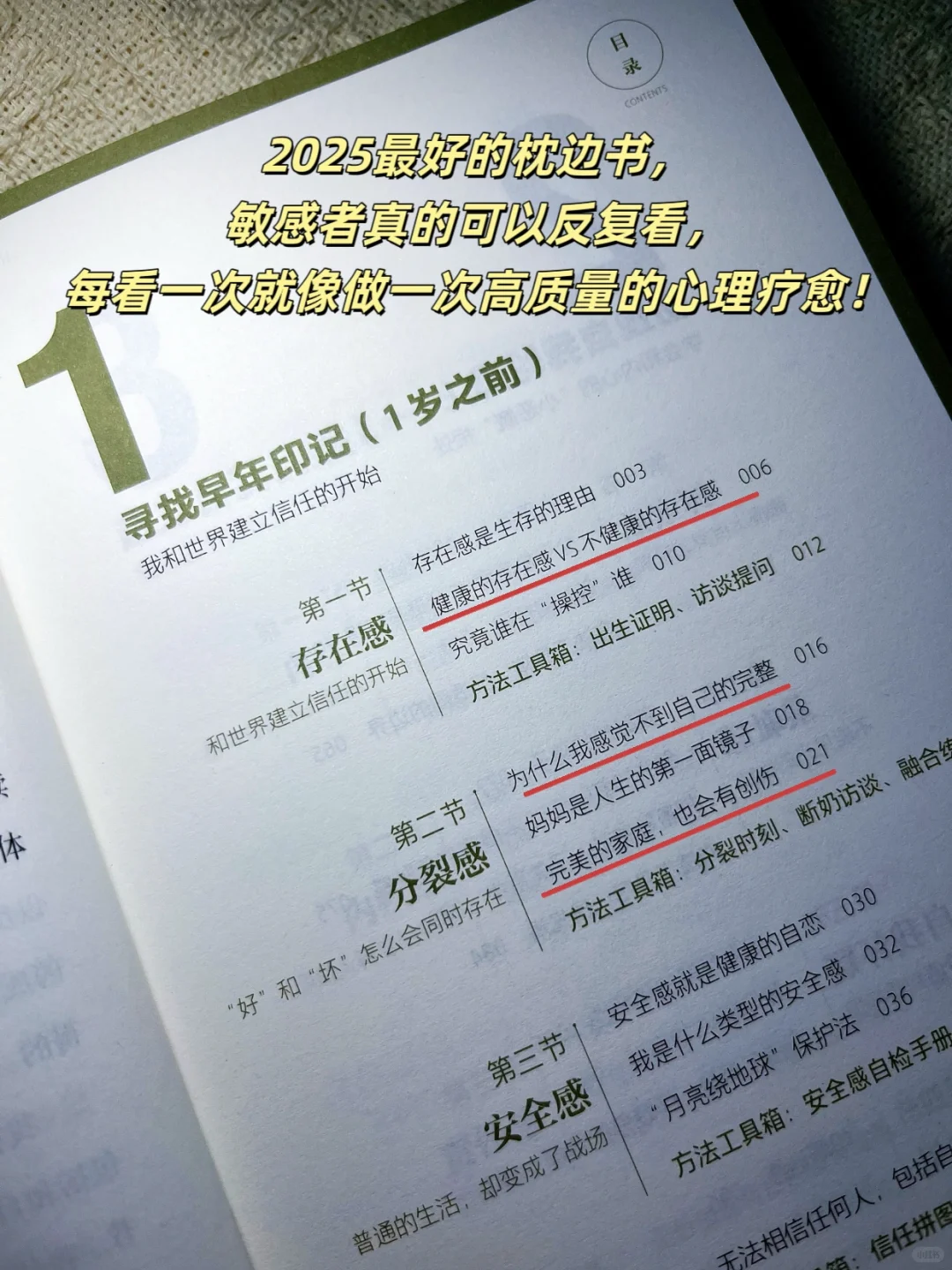 读完这本书，我终于把破碎的自己捡起来了