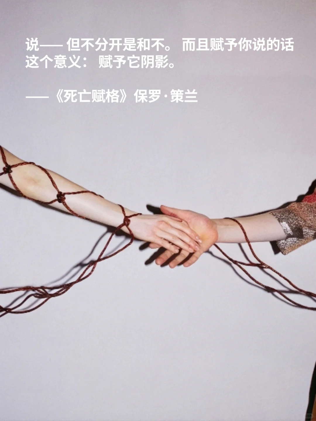 韩江的私人书单📚关于边缘生存和存在困境