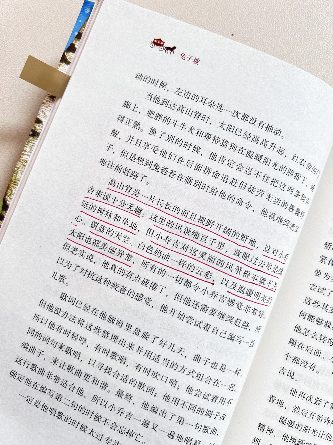 纽伯瑞儿童文学金奖，8-14岁必读高阶课外书
