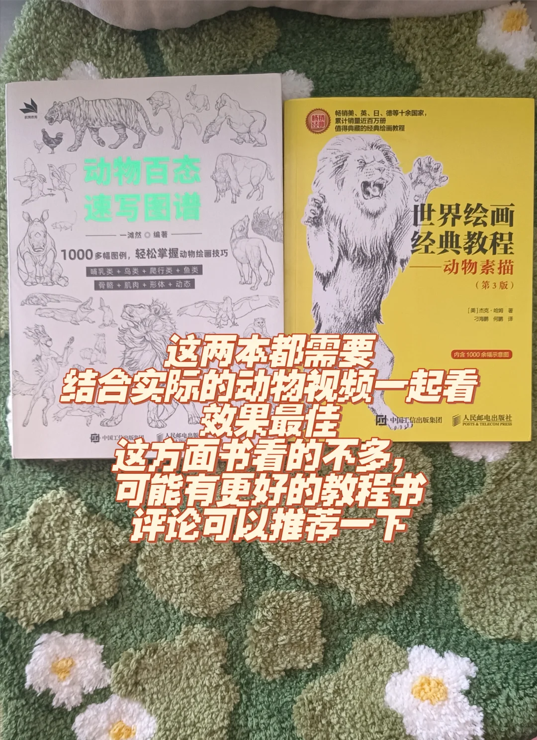 很多人问我画画怎么开悟的！书单来了
