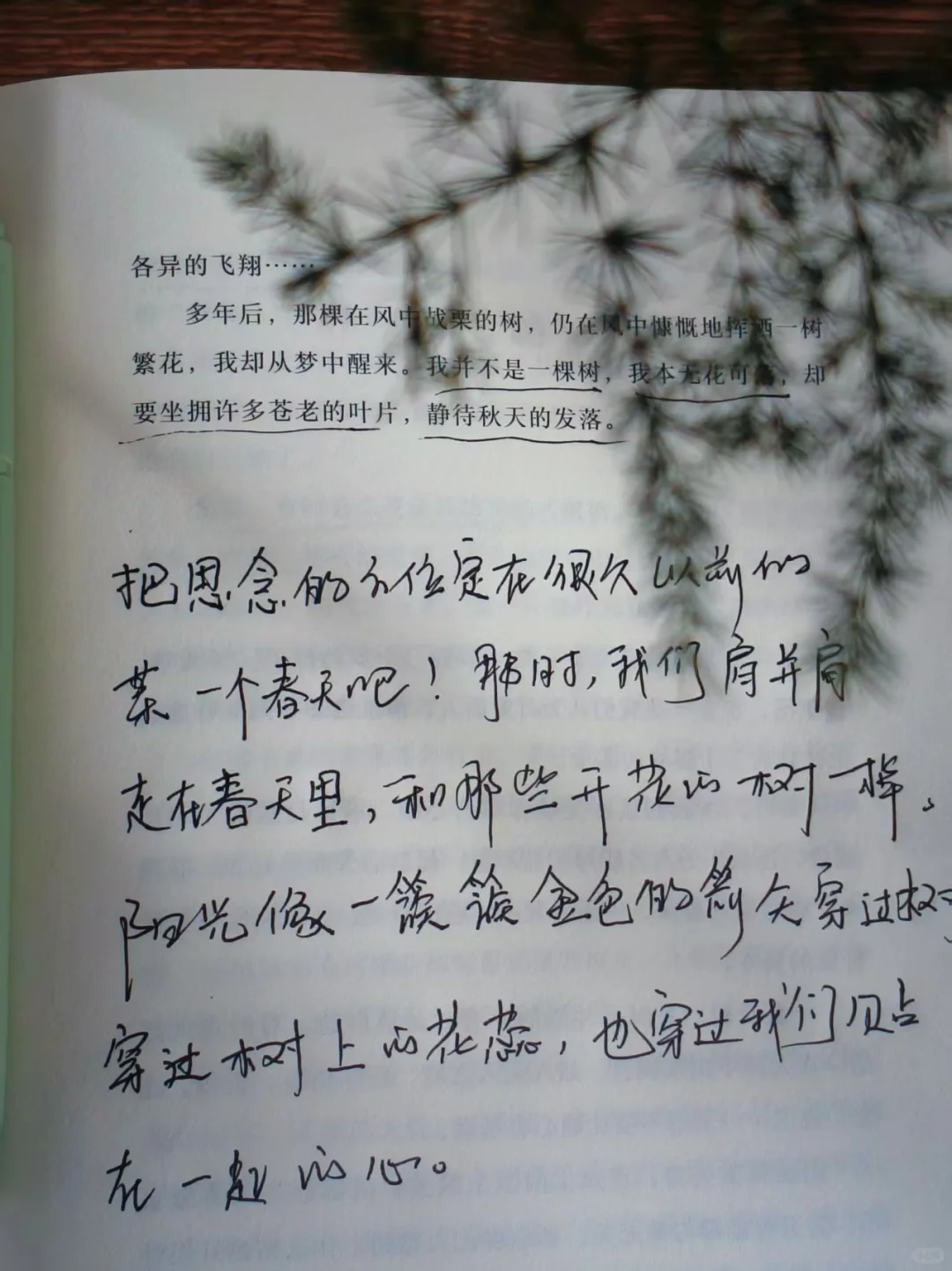 被鲁迅文学奖作家整破防，句句封神连夜摘抄