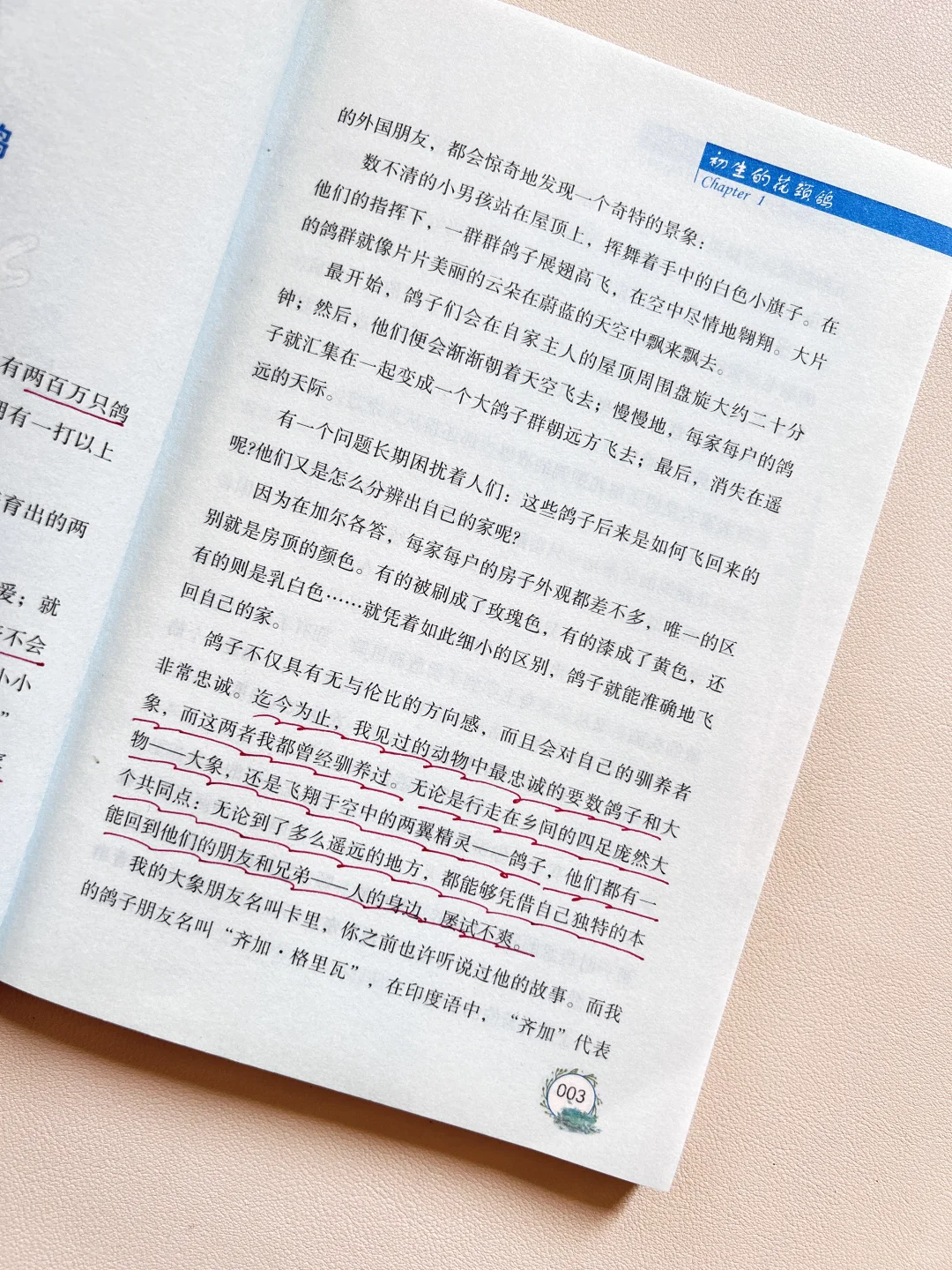 纽伯瑞儿童文学金奖，8-14岁必读高阶课外书