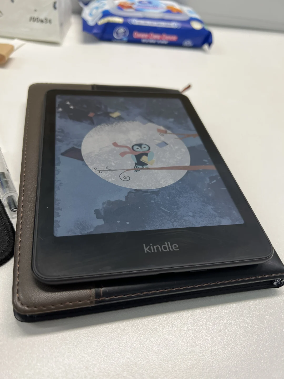 ➗Kindle Colorsoft