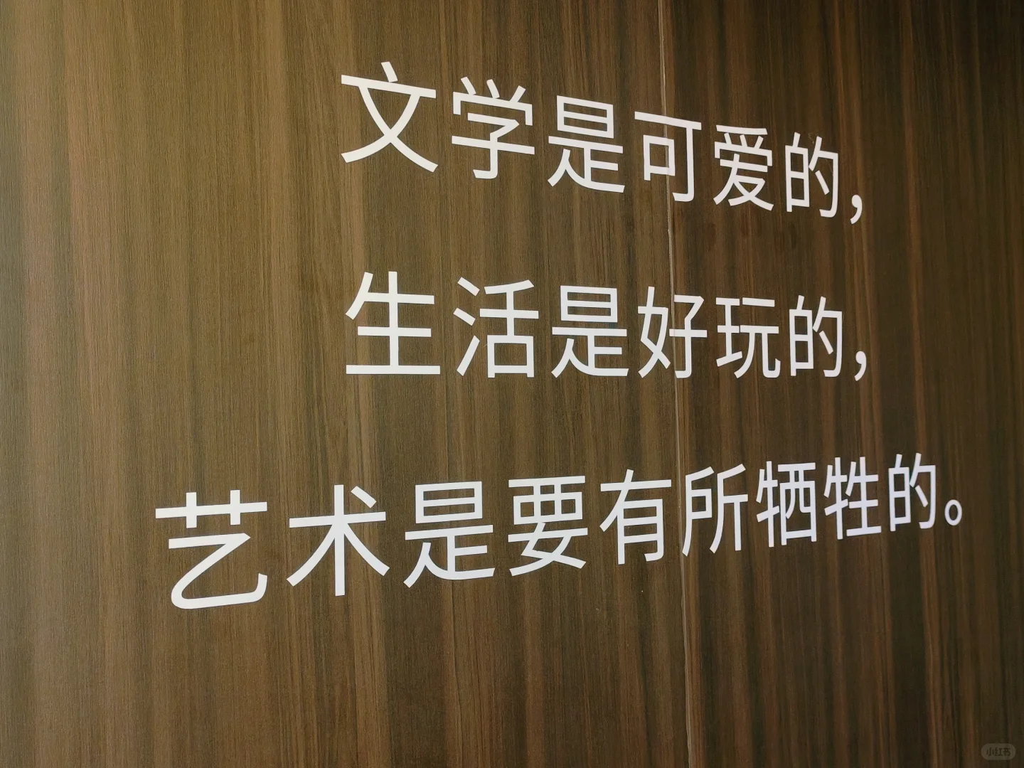 没办法这辈子放弃不了当文艺b了。