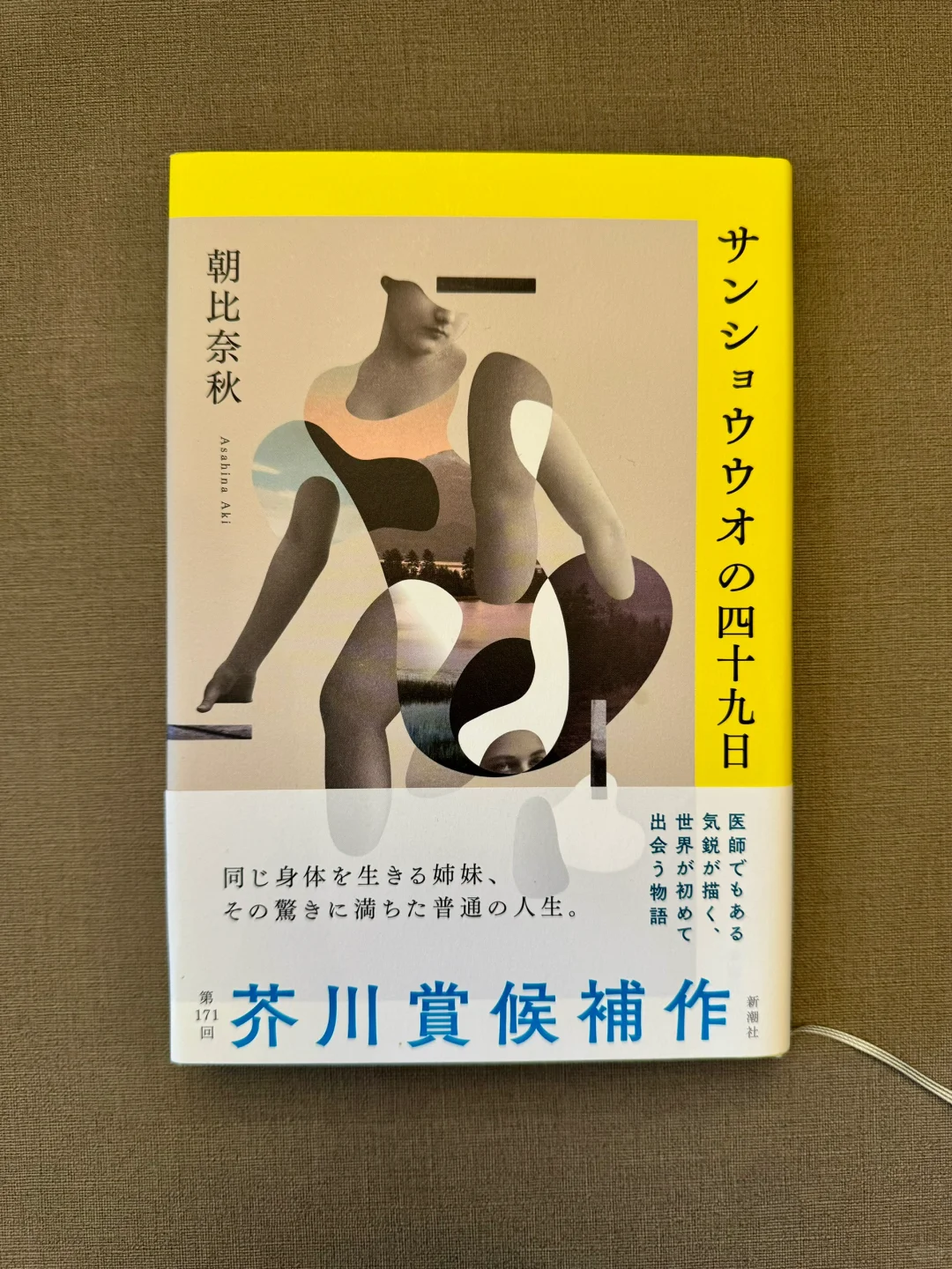 盘点2024年日本文学奖获奖作品