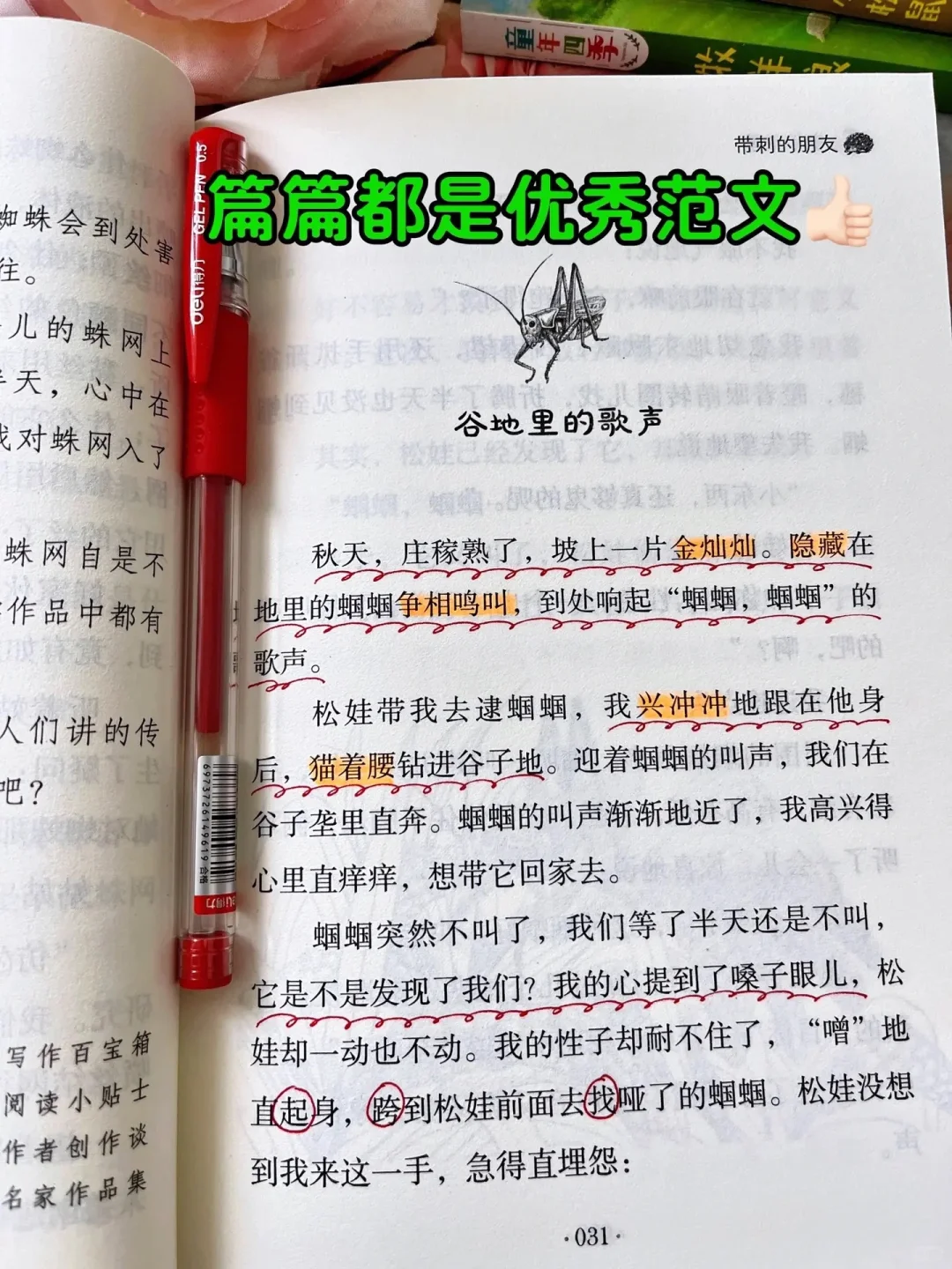孩子阅读量少，就多读这本获奖文学作品❗