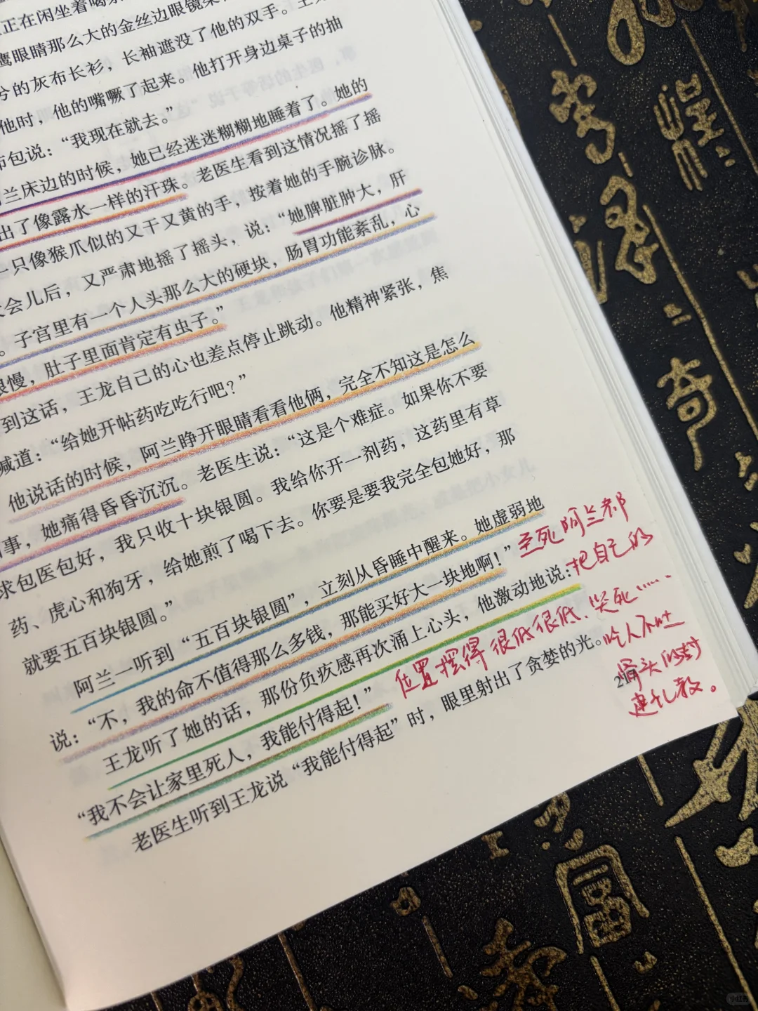 苦难不值得歌颂，值得歌颂的是不屈的灵魂😭