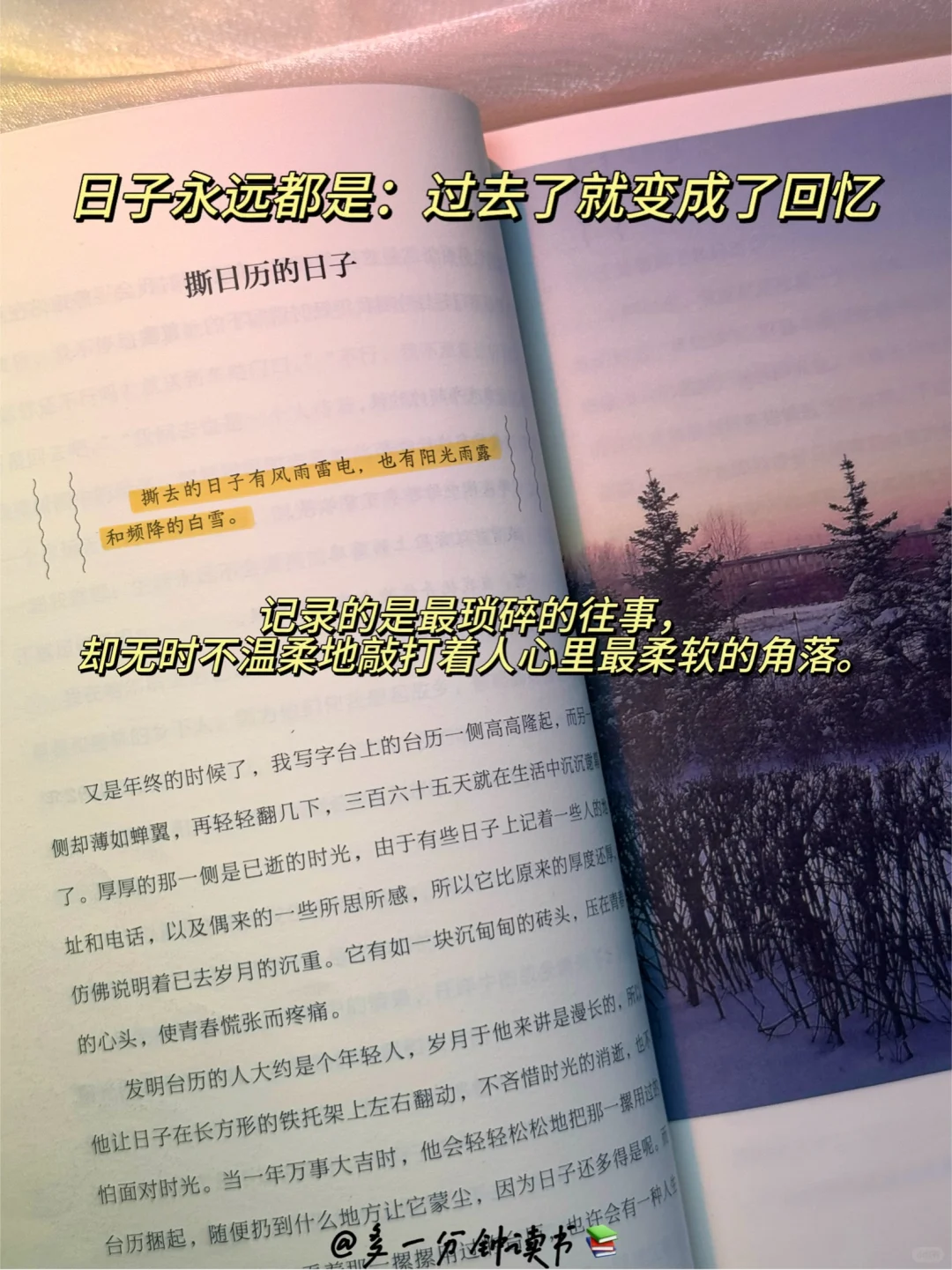 完全沦陷！我愿称之为散文天花板‼