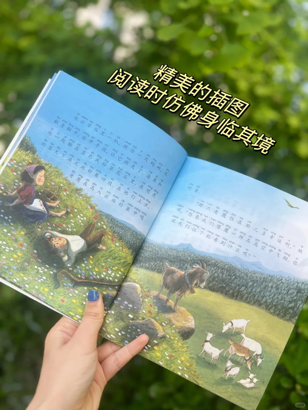 至少应该读一次的名著🏆