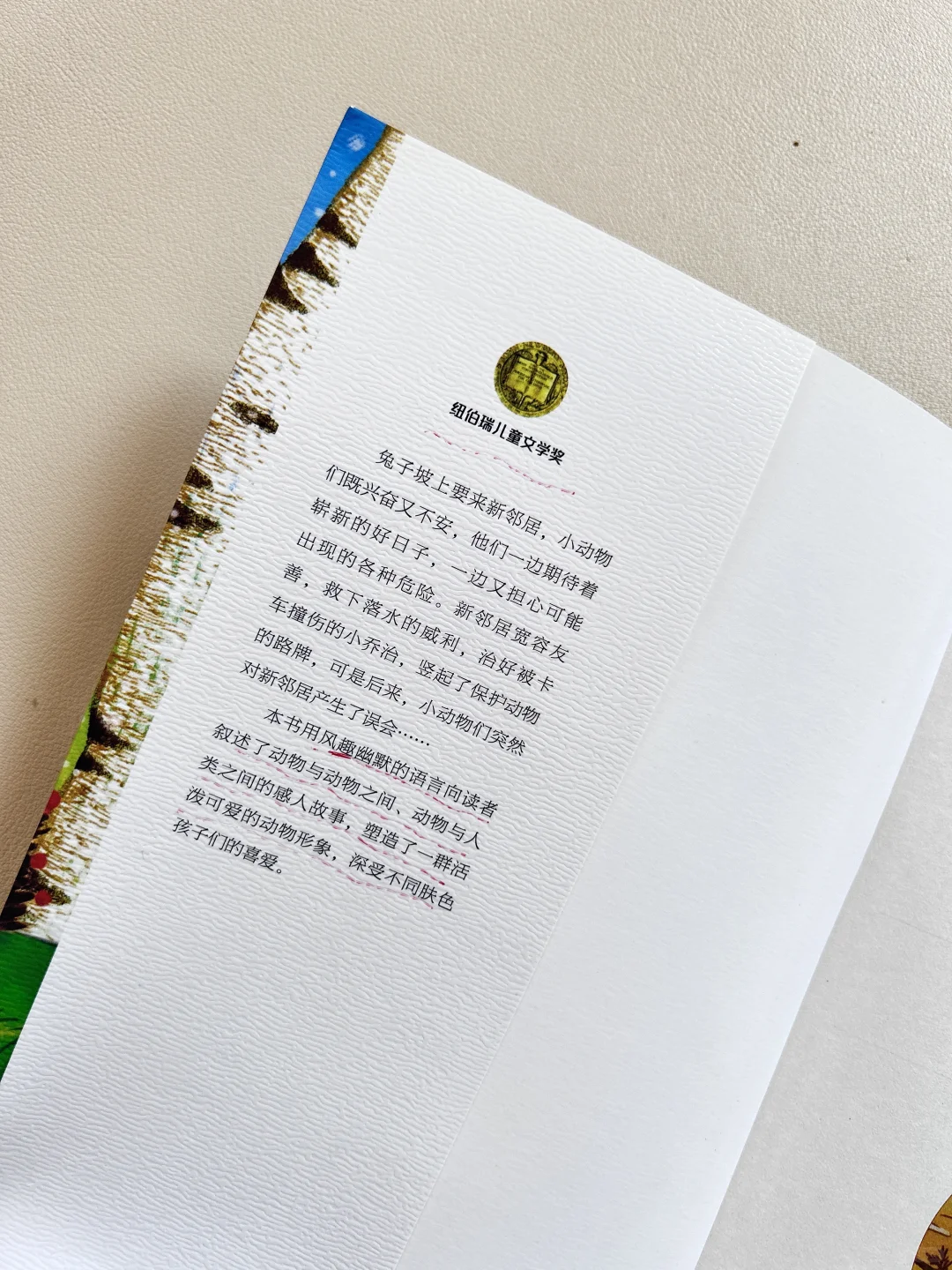 纽伯瑞儿童文学金奖，8-14岁必读高阶课外书