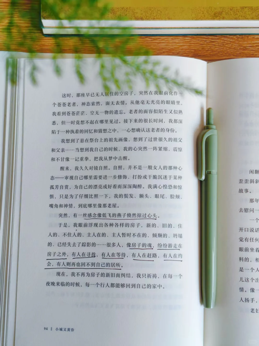 被鲁迅文学奖作家整破防，句句封神连夜摘抄