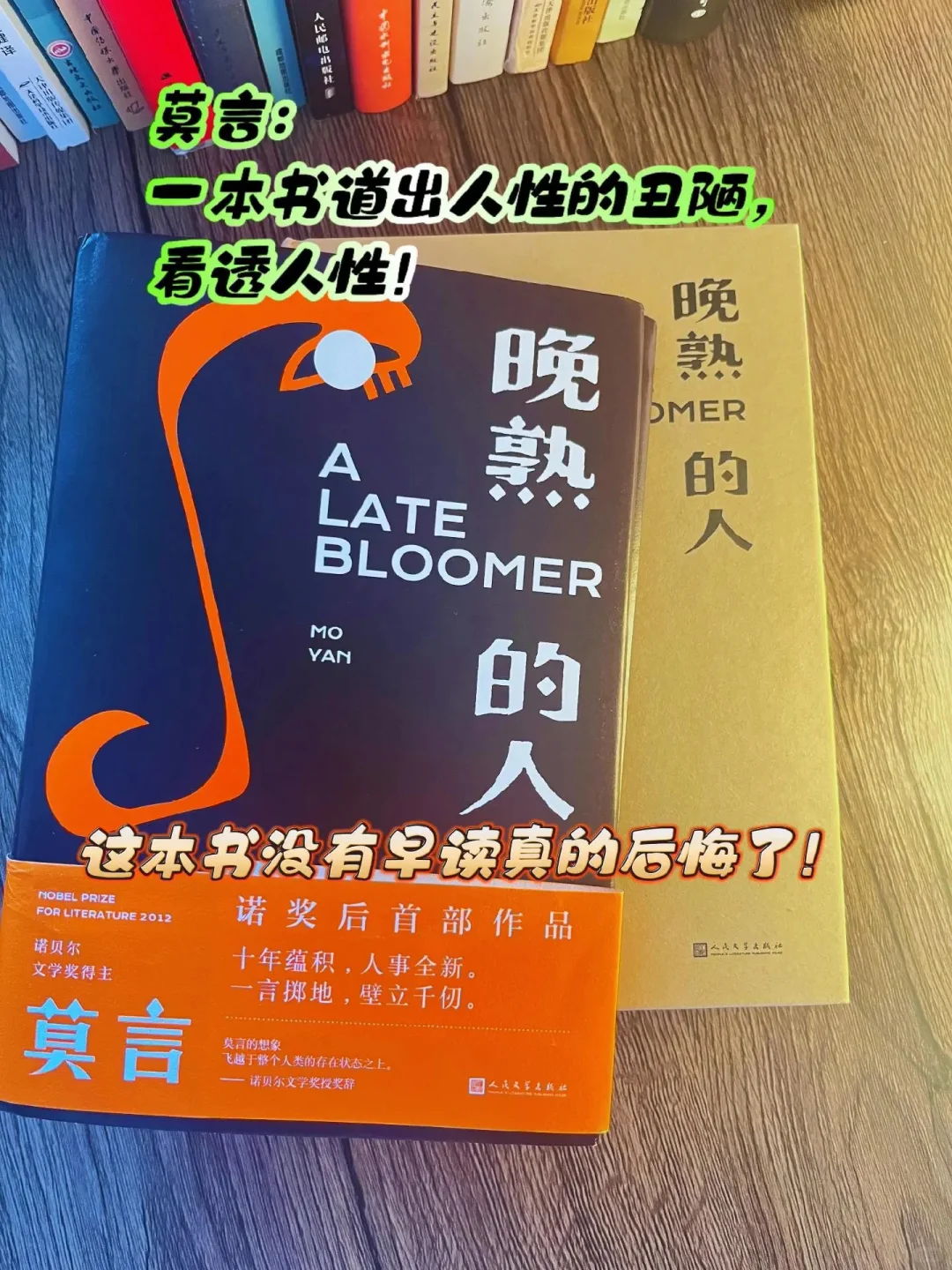 一晚上读完这本书，震撼到我久久无法平静！