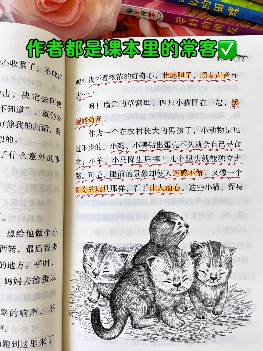 孩子阅读量少，就多读这本获奖文学作品❗