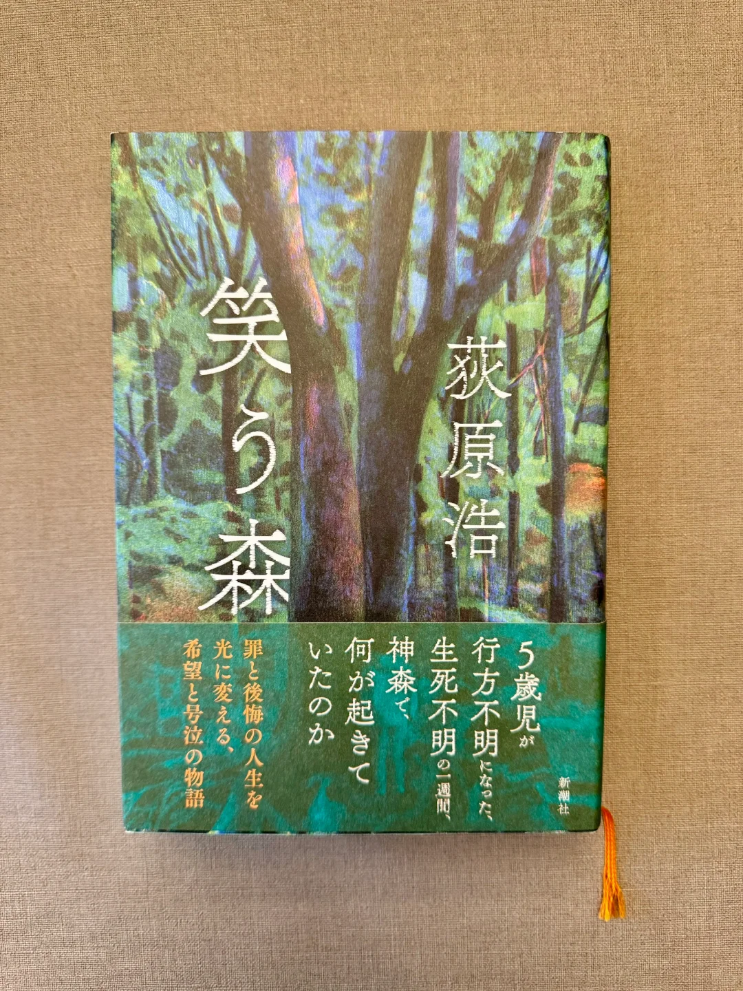 盘点2024年日本文学奖获奖作品