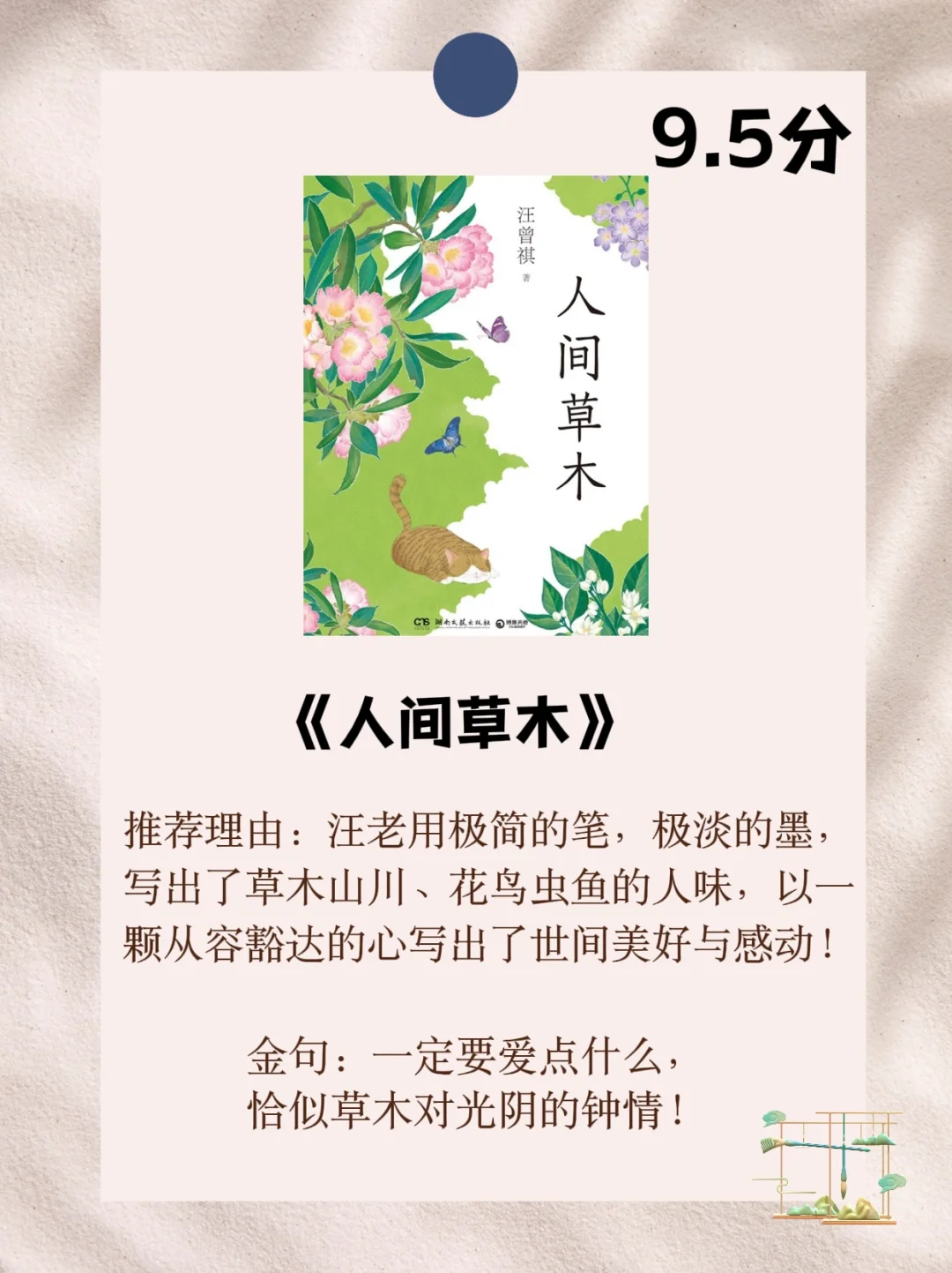 央妈力荐‼️6本值得摘抄一遍的书
