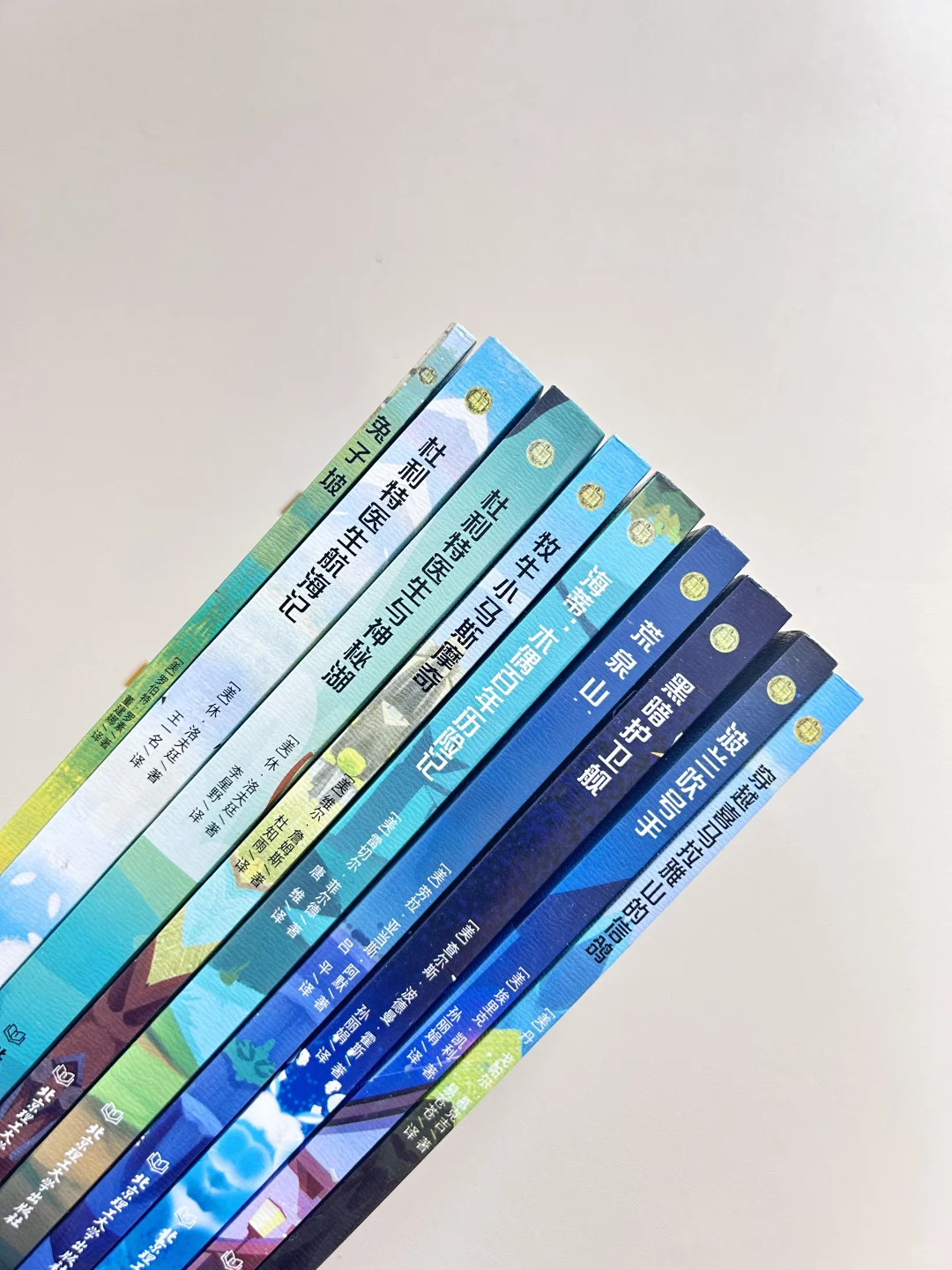 纽伯瑞儿童文学金奖，8-14岁必读高阶课外书