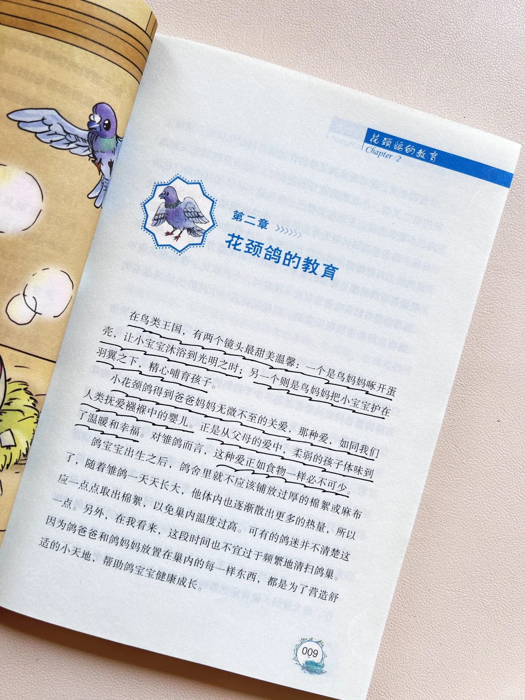 纽伯瑞儿童文学金奖，8-14岁必读高阶课外书