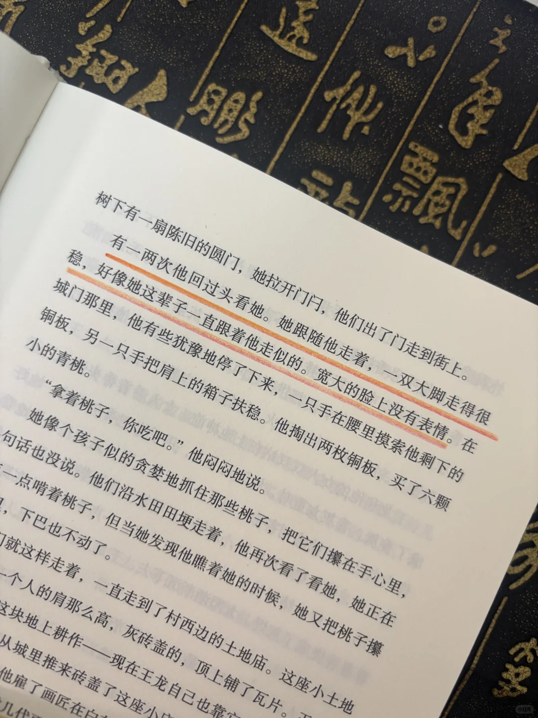 苦难不值得歌颂，值得歌颂的是不屈的灵魂😭