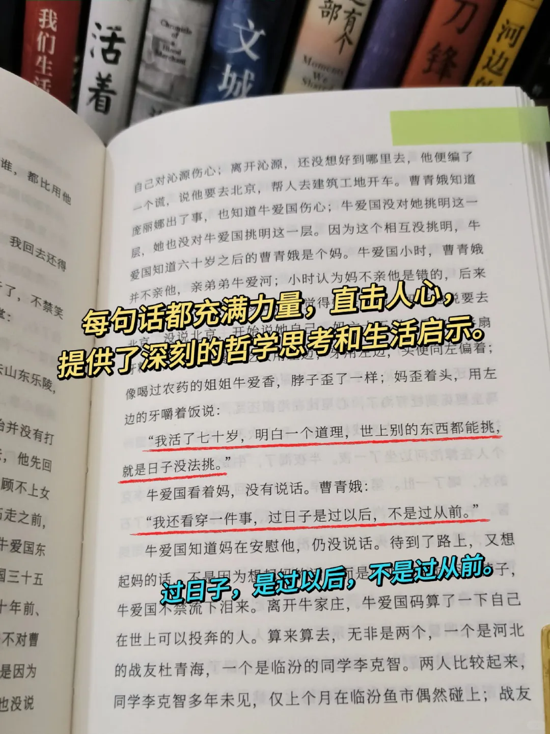 不愧是茅盾文学奖的获奖作品，被狠狠治愈了