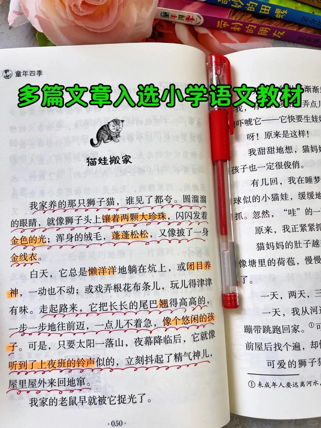 孩子阅读量少，就多读这本获奖文学作品❗