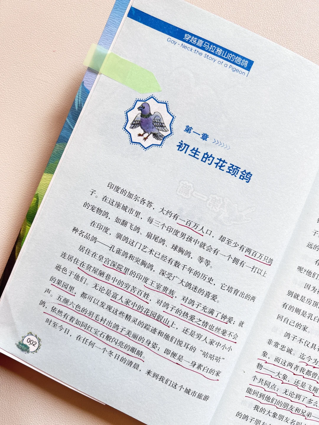 纽伯瑞儿童文学金奖，8-14岁必读高阶课外书