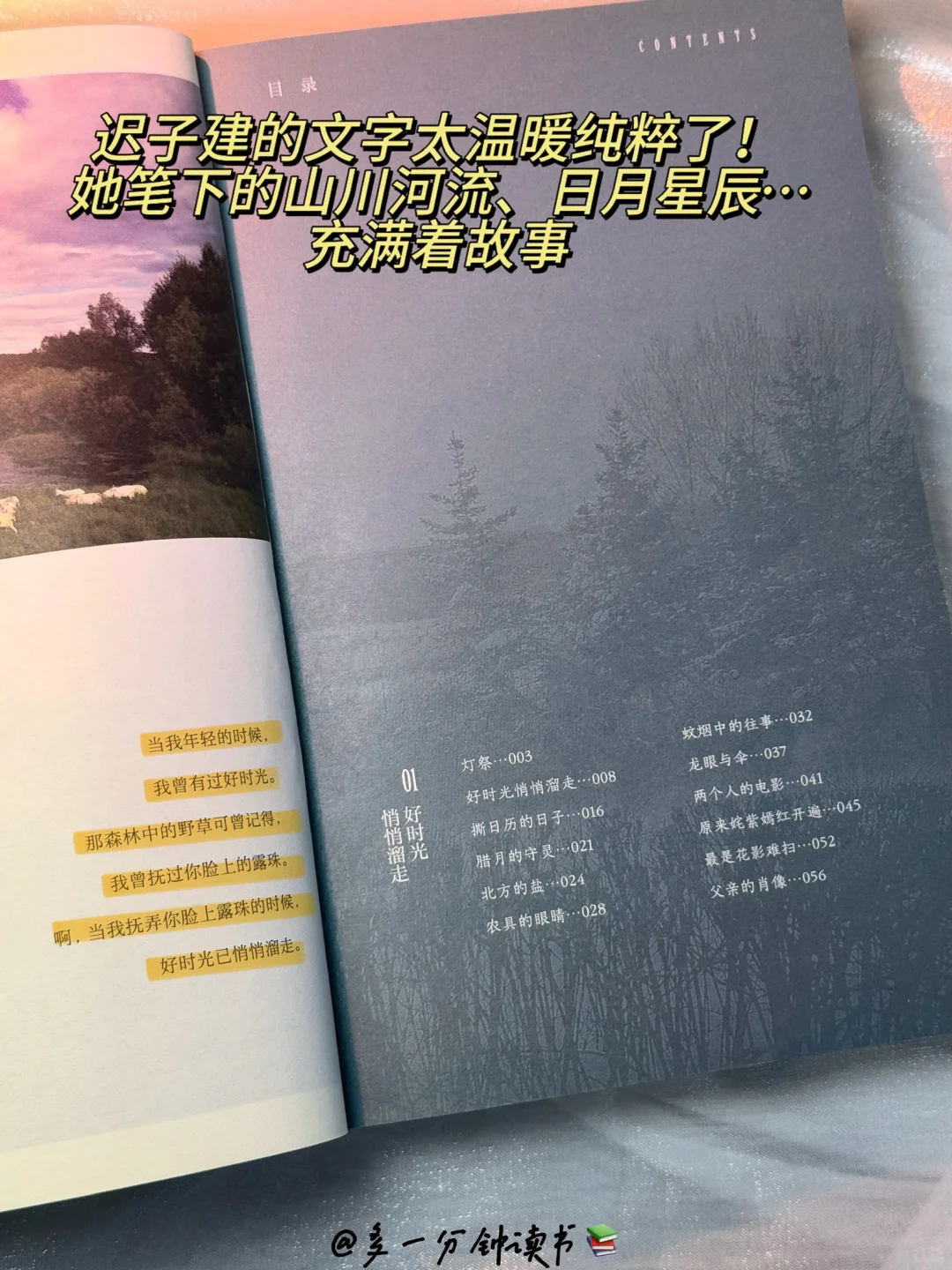 完全沦陷！我愿称之为散文天花板‼