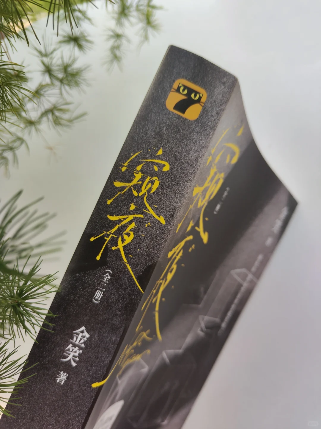 窥见他的秘密㊙️