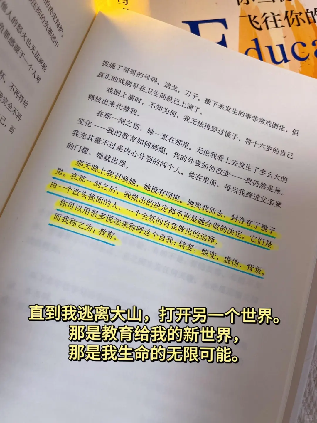 不愧是比尔盖茨推荐的年度书单，太鼓舞人心