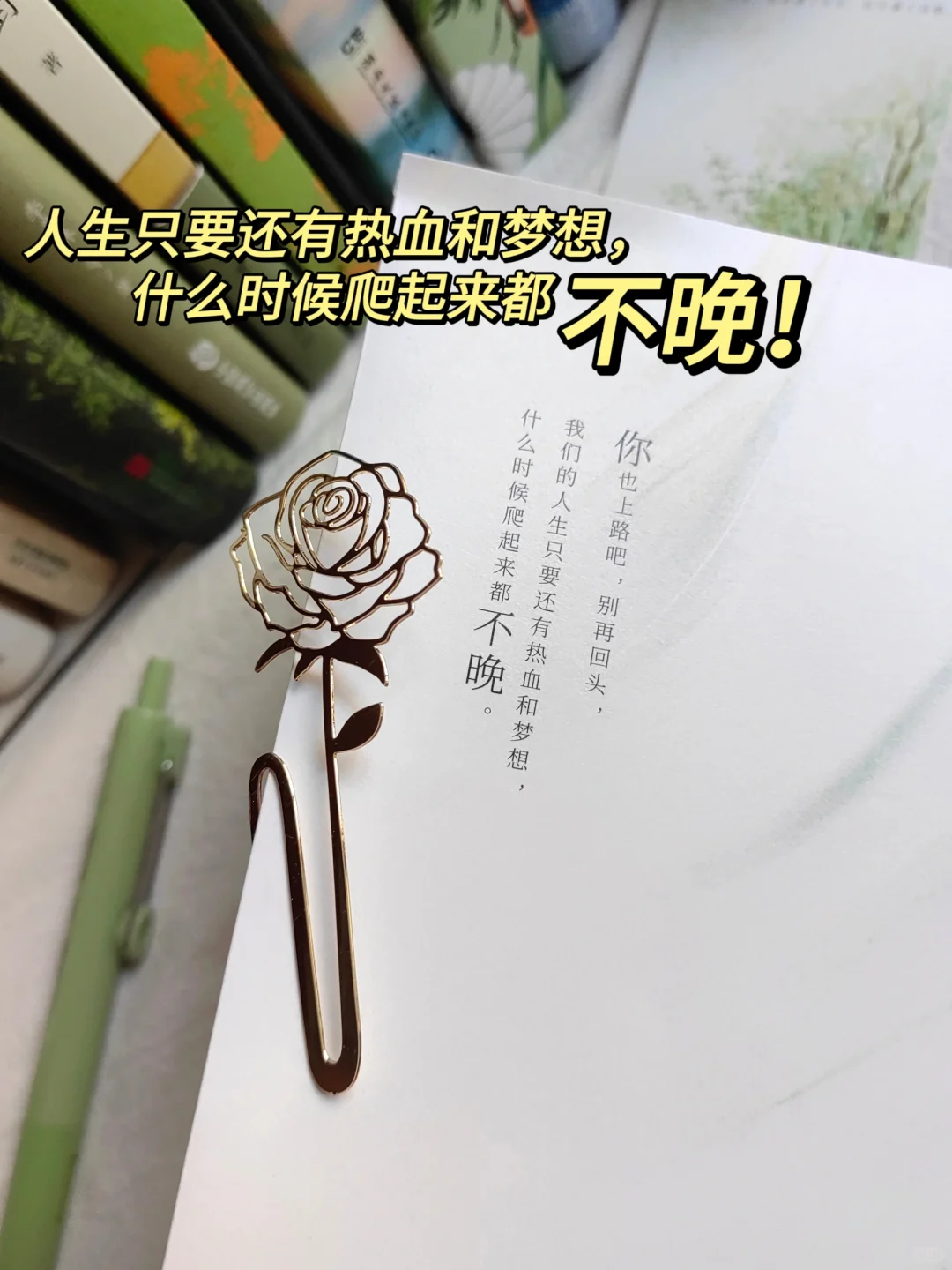 一眼沦陷，怎么会有这么温暖的书啊🥰！！