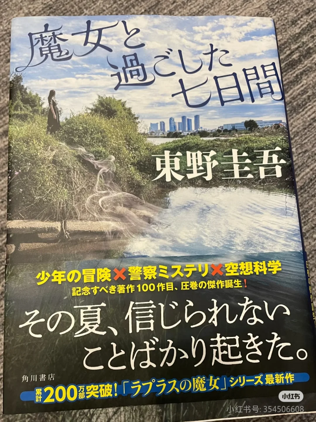 传闻这本是磨铁出版，不知道啥时候出