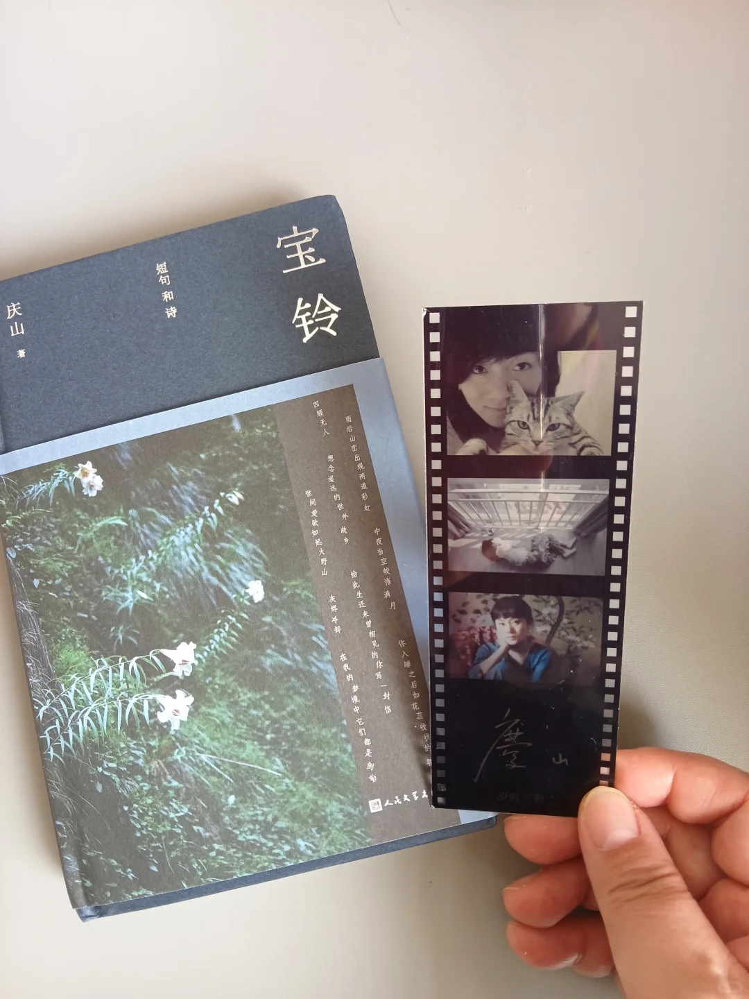 庆山的《宝铃》，真适合这个夏夜读啊～