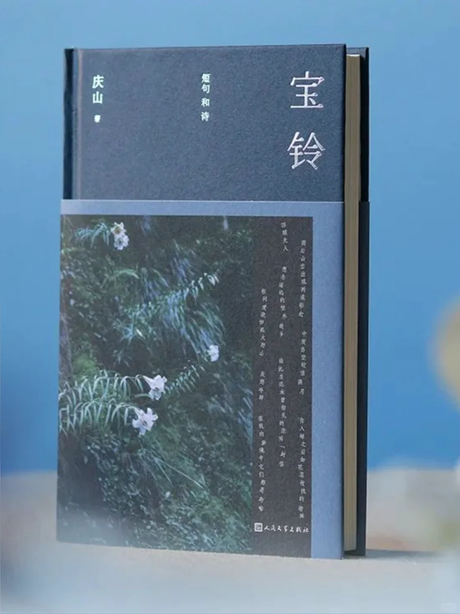 庆山 《宝玲》上市，我却犹豫了……