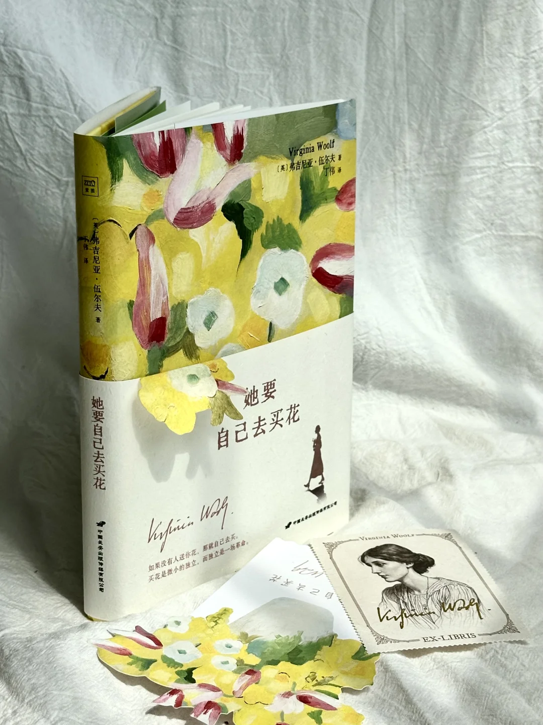 读完伍尔夫的新书，我真的清醒了