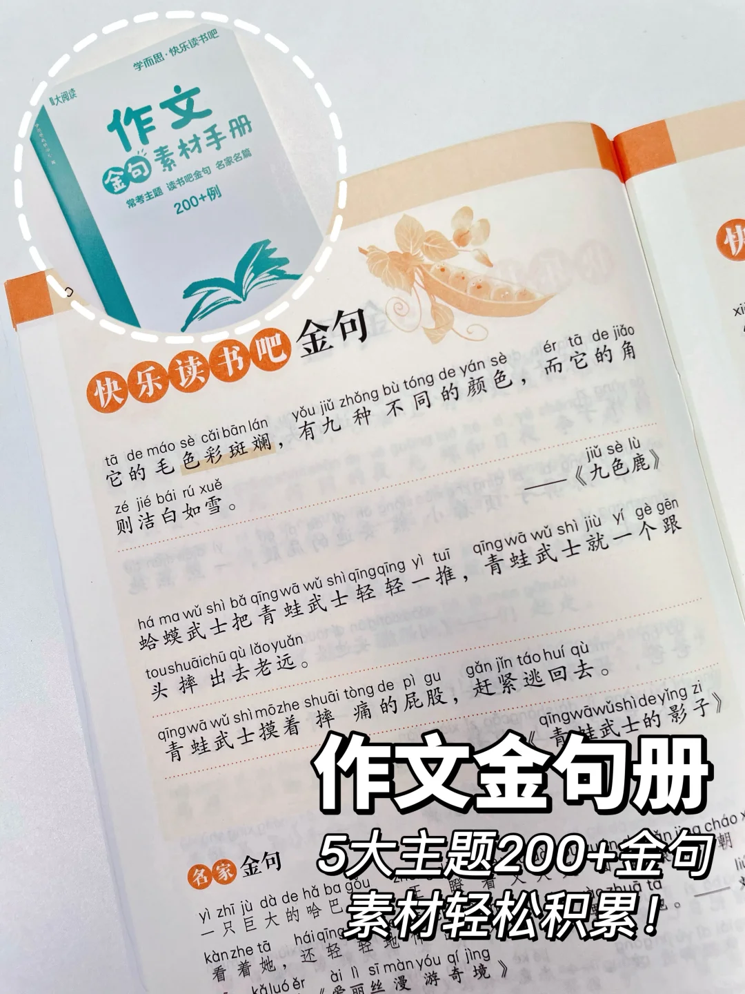 暑假不卷不鸡，抓住“阅读”开学就领先❗️