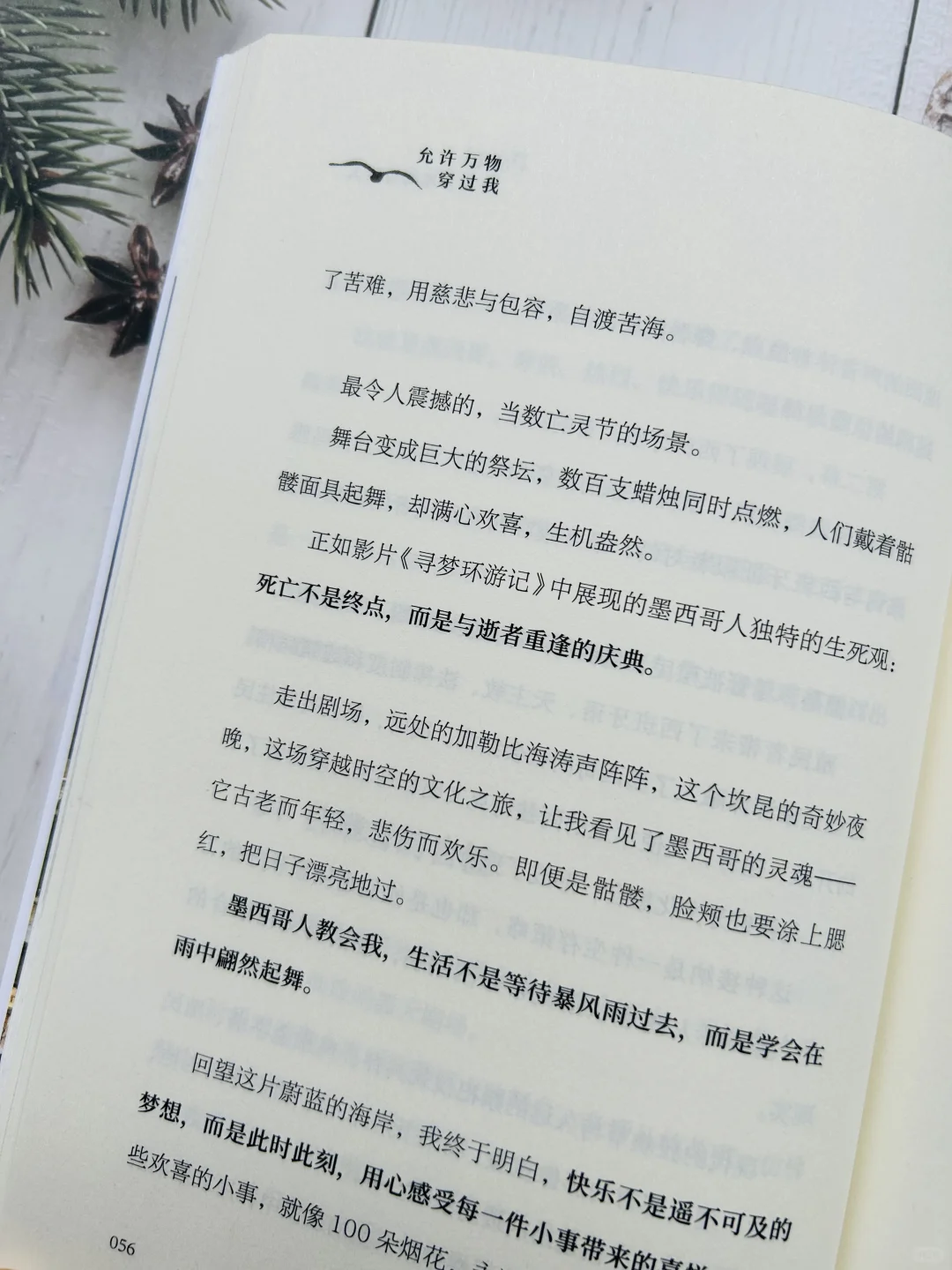 🔥豆瓣9.2！读完这本书再也不丧不焦虑了！