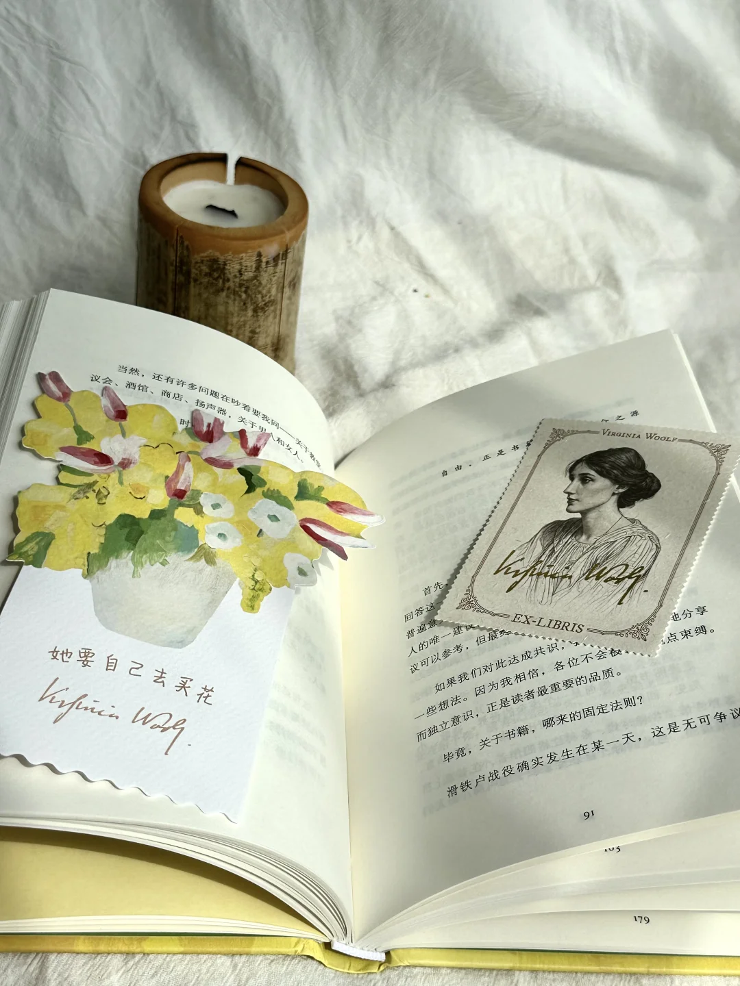 读完伍尔夫的新书，我真的清醒了