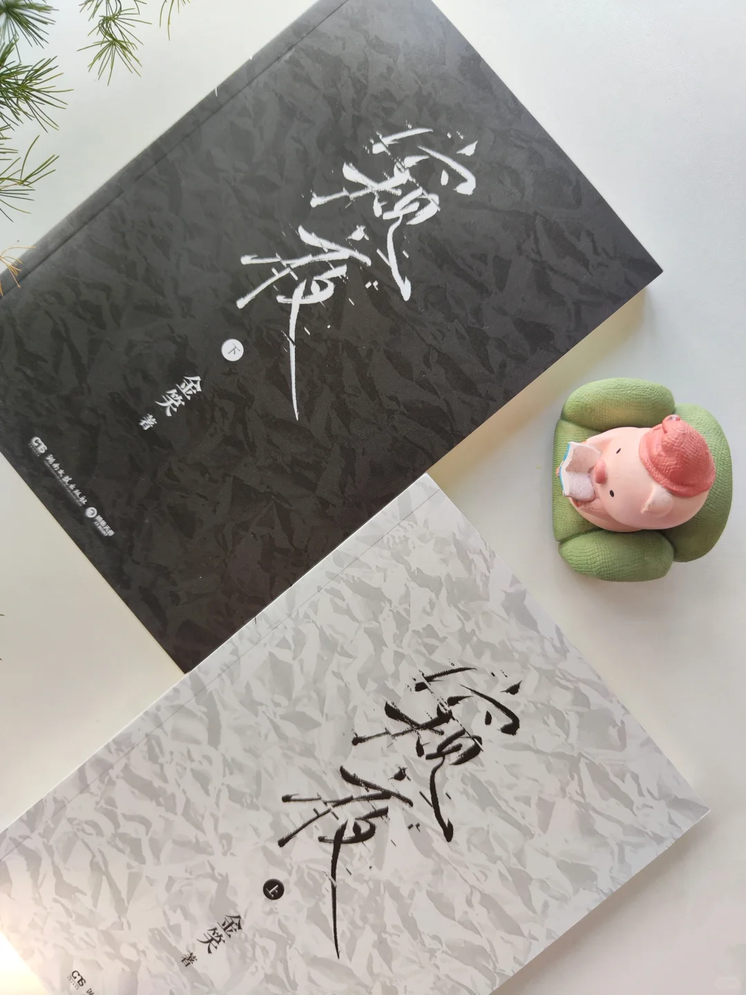 窥见他的秘密㊙️