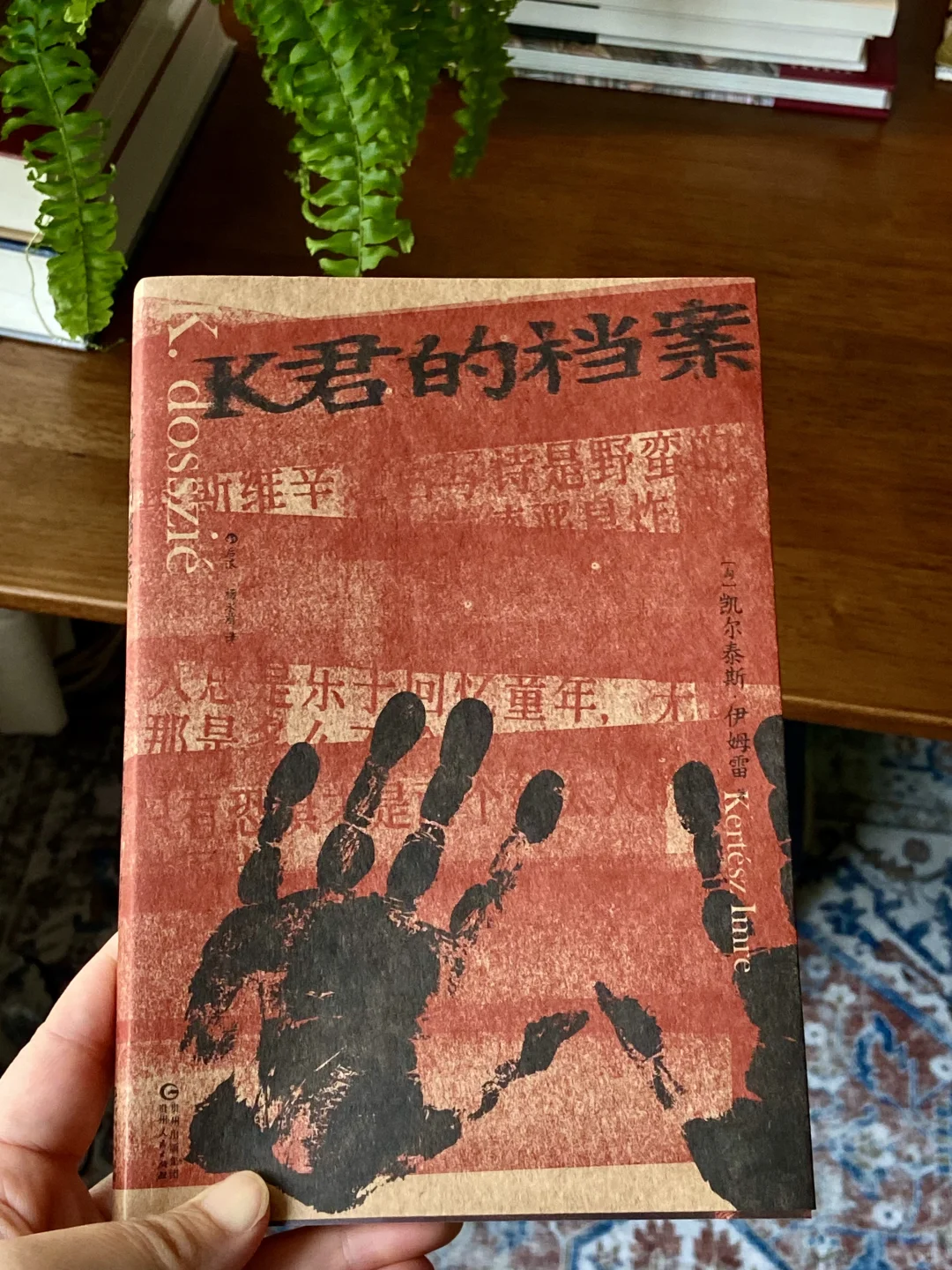 新书plog｜日常书单分享，人吃五谷杂粮才健康
