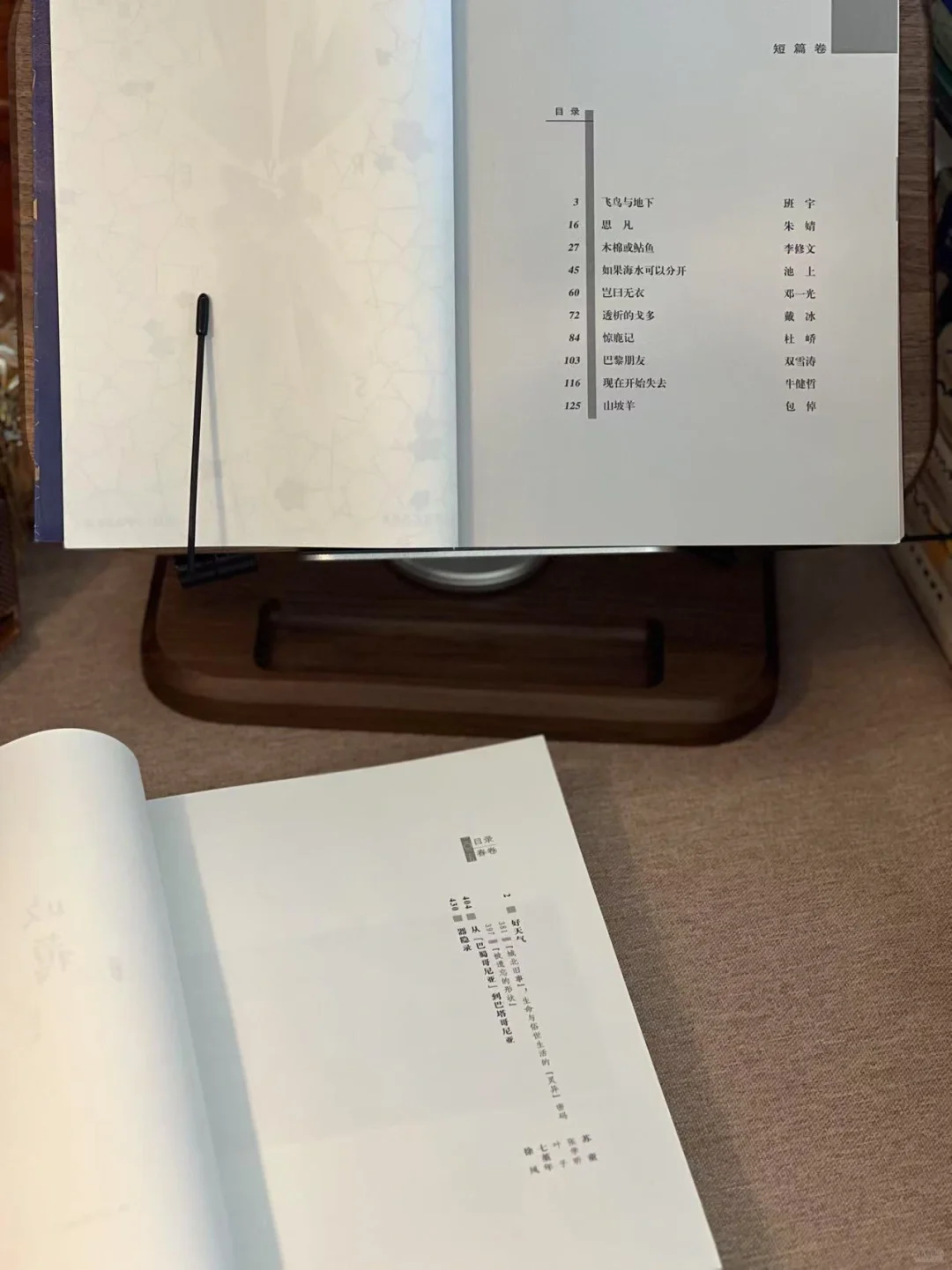 文学迷狂喜丨24收获文学榜及25长篇春卷