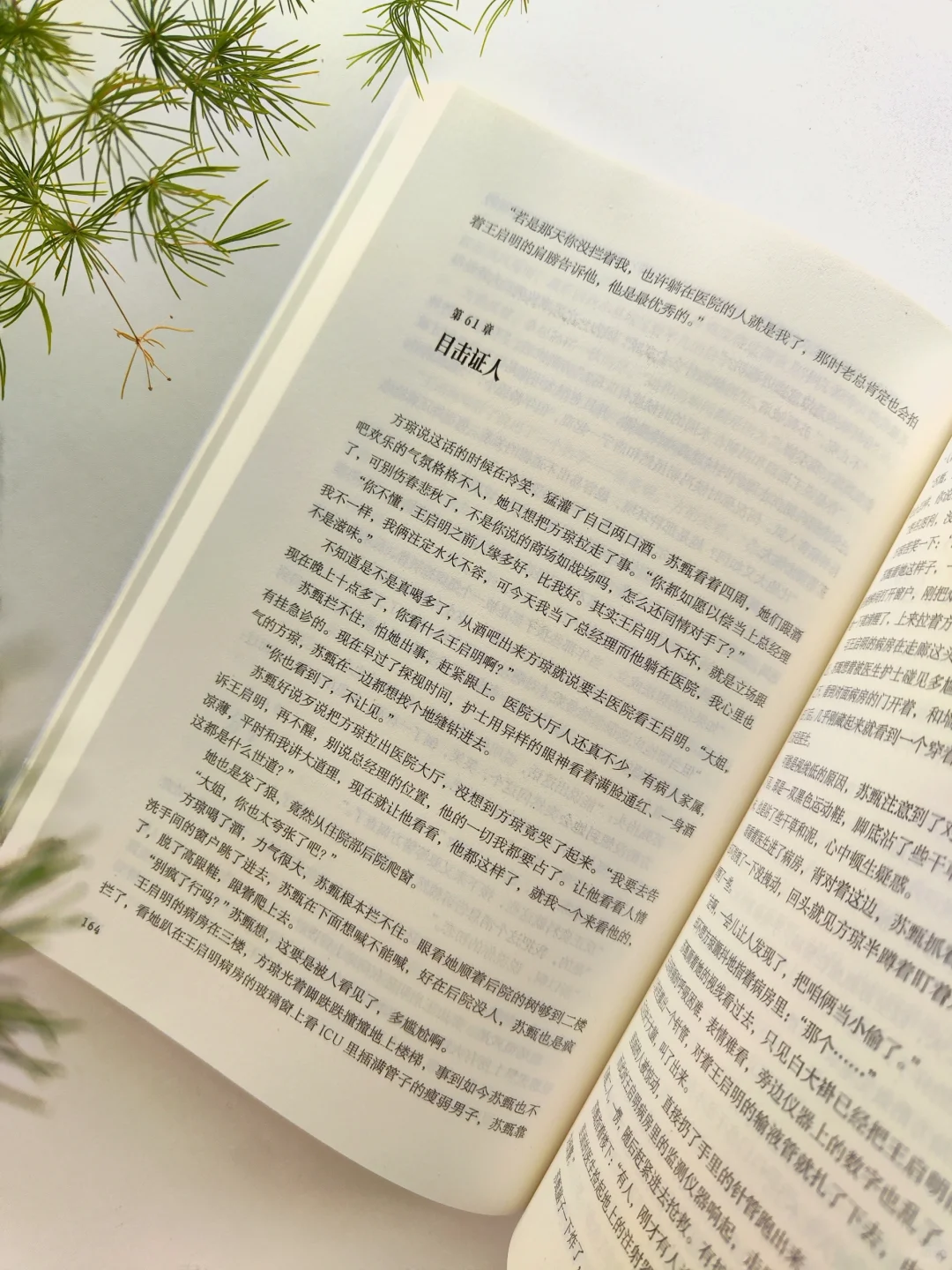 窥见他的秘密㊙️