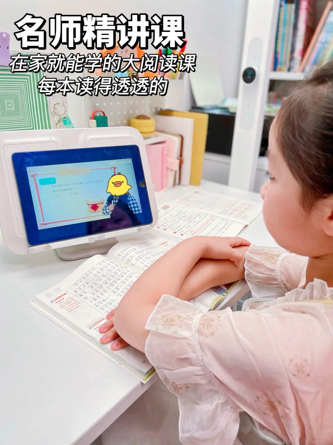 暑假不卷不鸡，抓住“阅读”开学就领先❗️