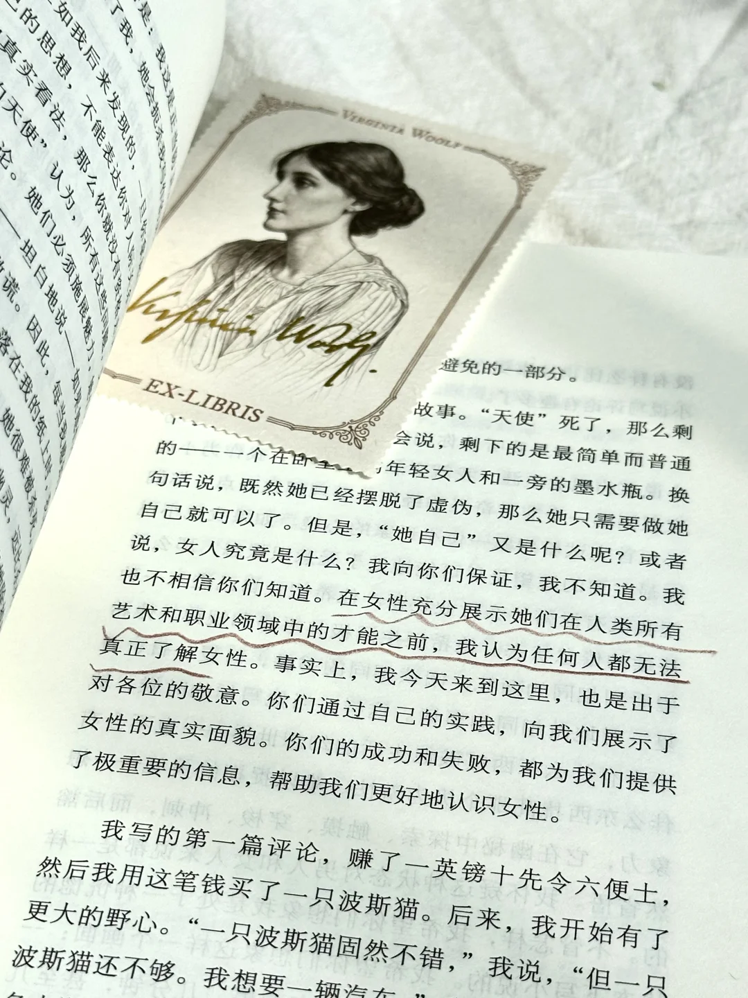 读完伍尔夫的新书，我真的清醒了