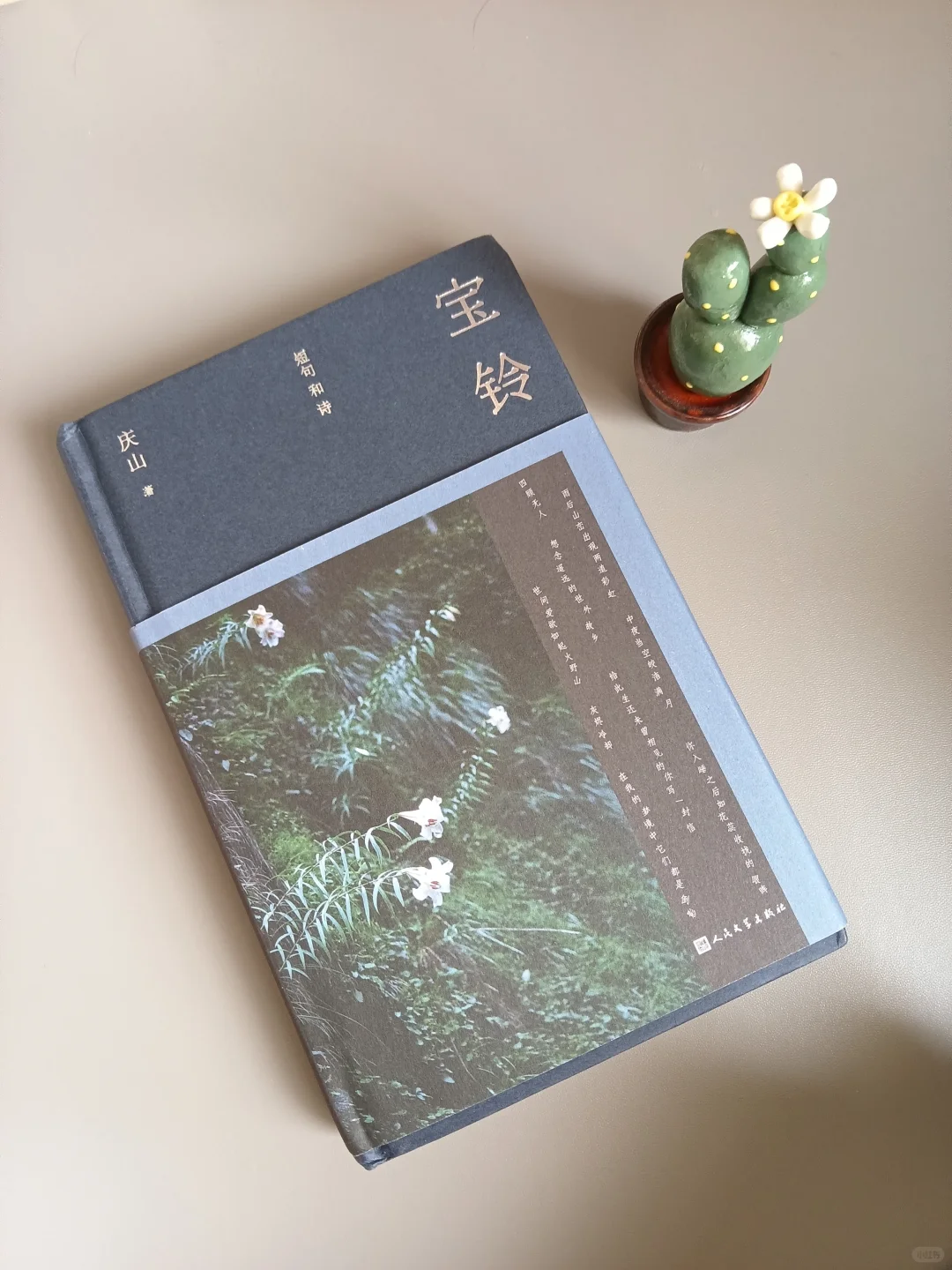 庆山的《宝铃》，真适合这个夏夜读啊～