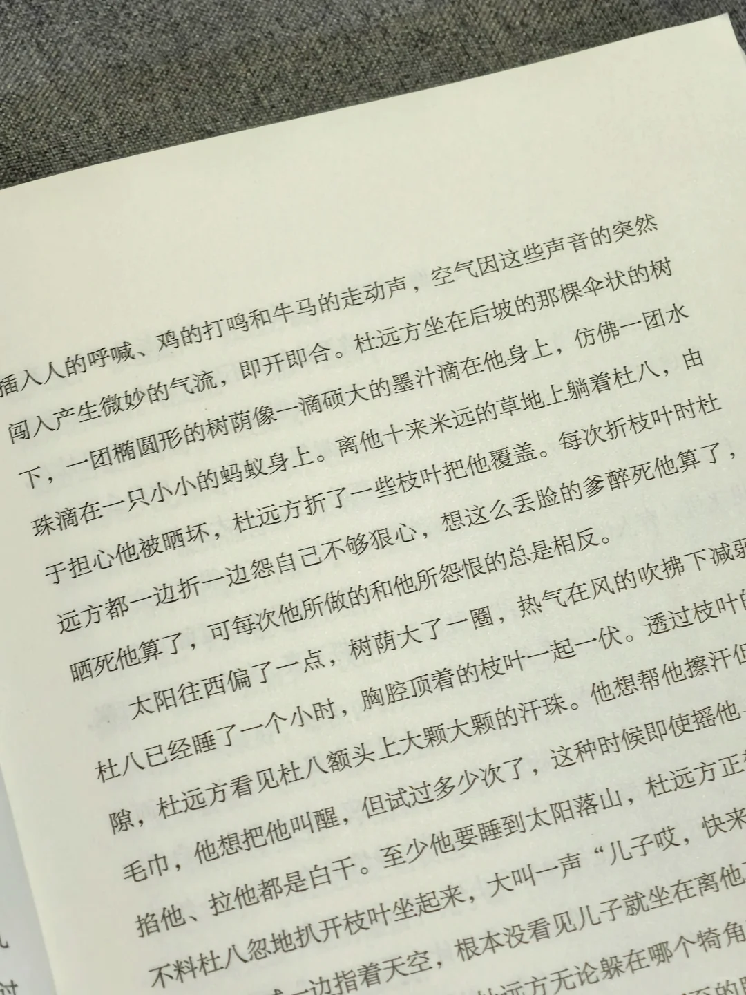 又是一本震撼着读完的小说集😭文笔太绝了