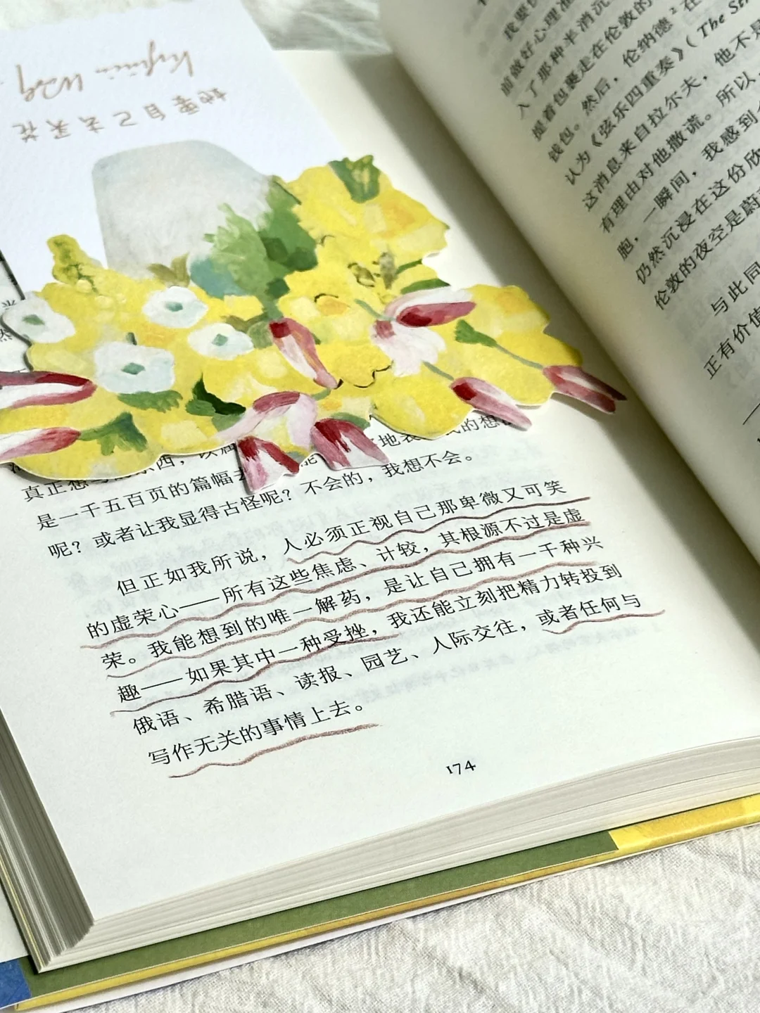 读完伍尔夫的新书，我真的清醒了